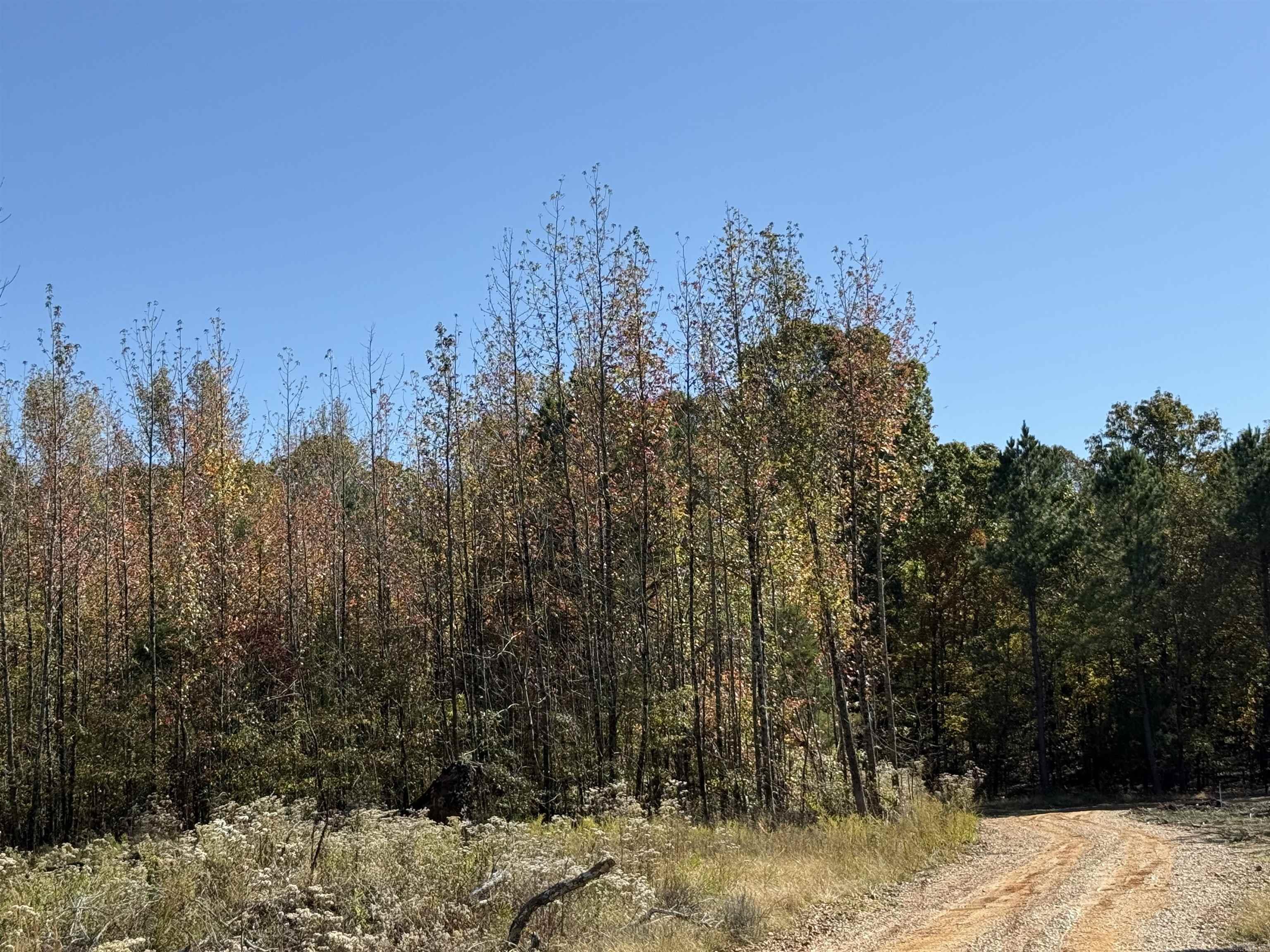 9.57 acres Greene 756  Paragould, AR