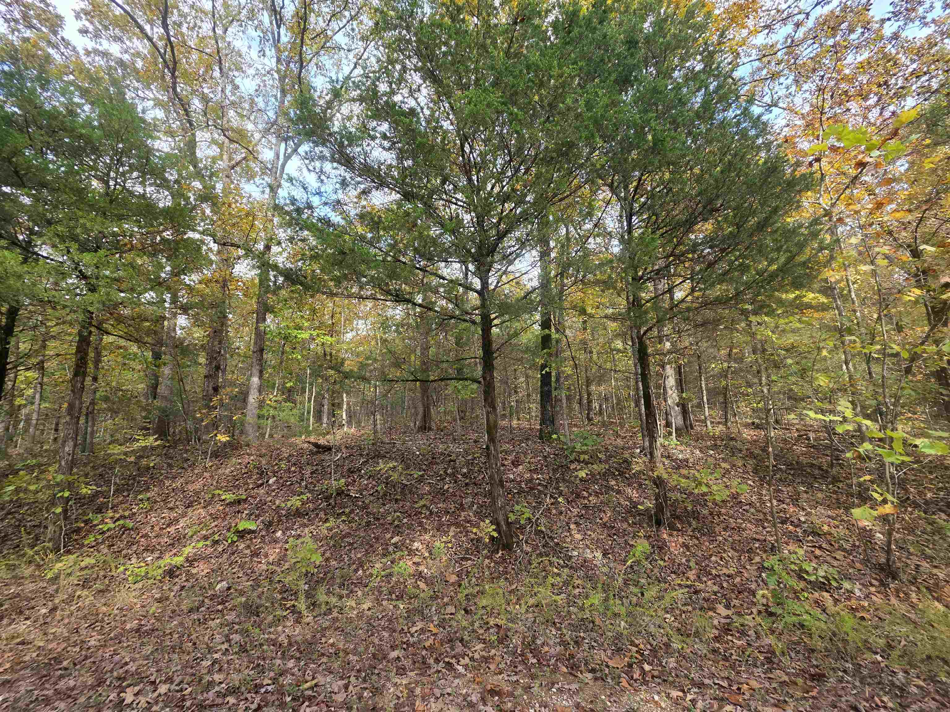 L-5,6 B- 3 Apoxsee  Cherokee Village, AR