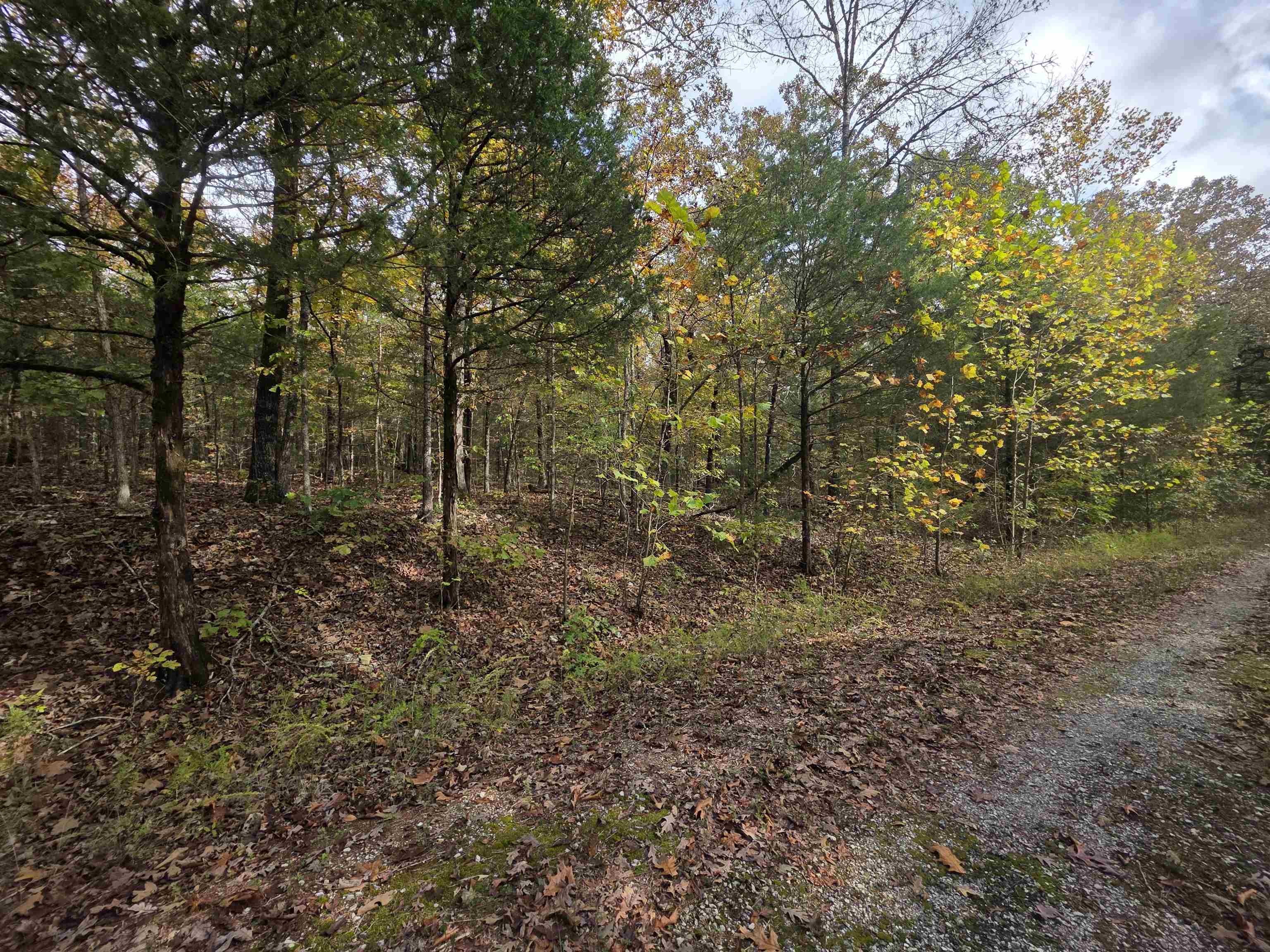 L-5,6 B- 3 Apoxsee  Cherokee Village, AR