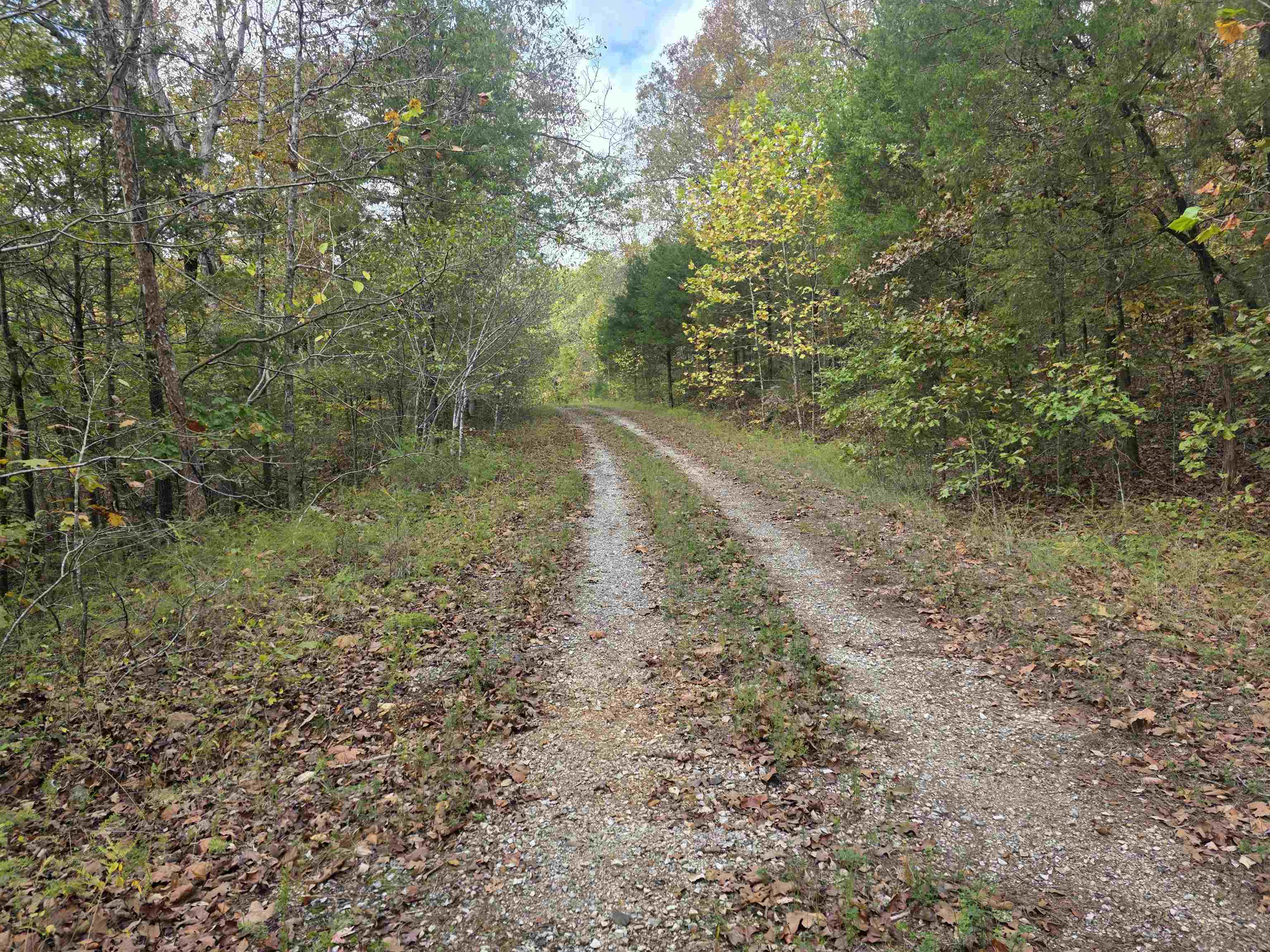 L-5,6 B- 3 Apoxsee  Cherokee Village, AR