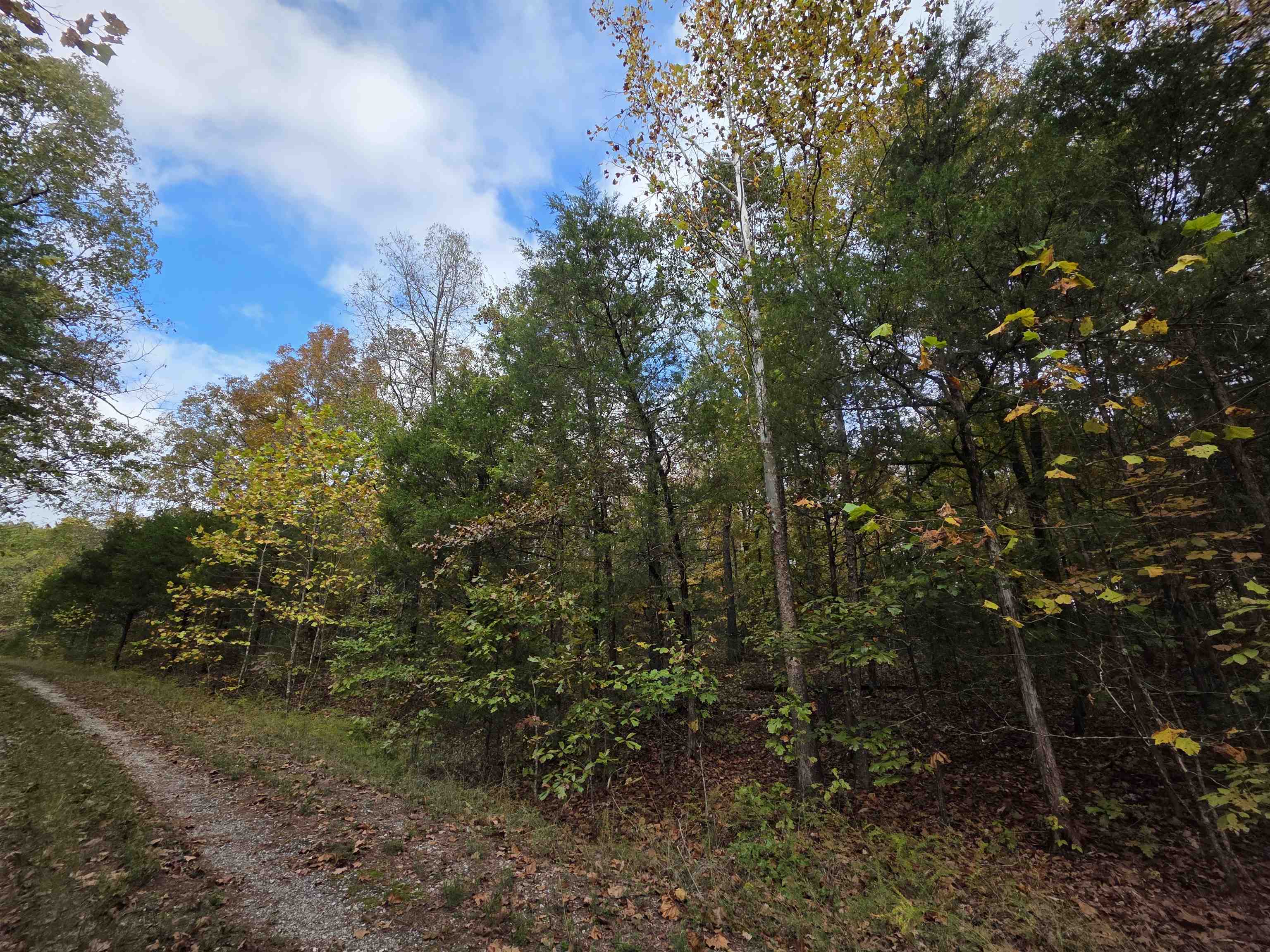 L-5,6 B- 3 Apoxsee  Cherokee Village, AR