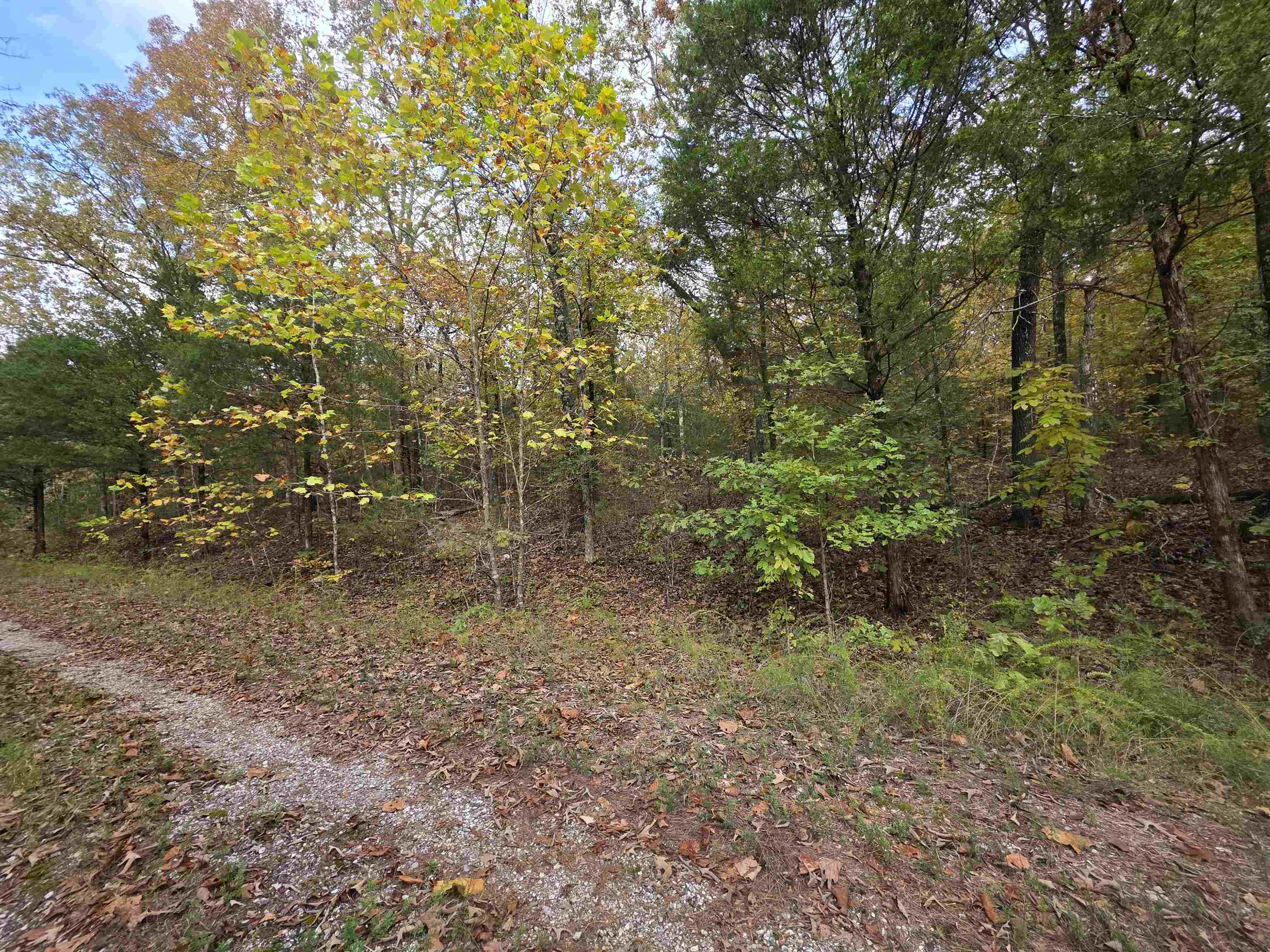 L-5,6 B- 3 Apoxsee  Cherokee Village, AR