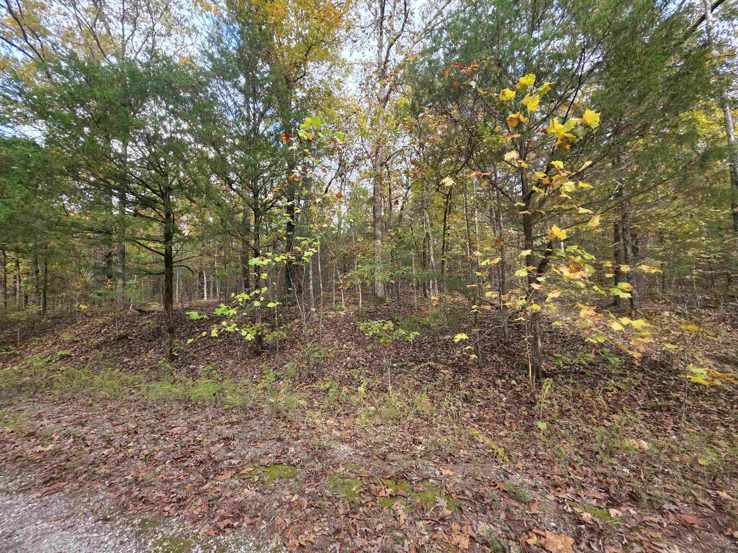 L-5,6 B- 3 Apoxsee  Cherokee Village, AR