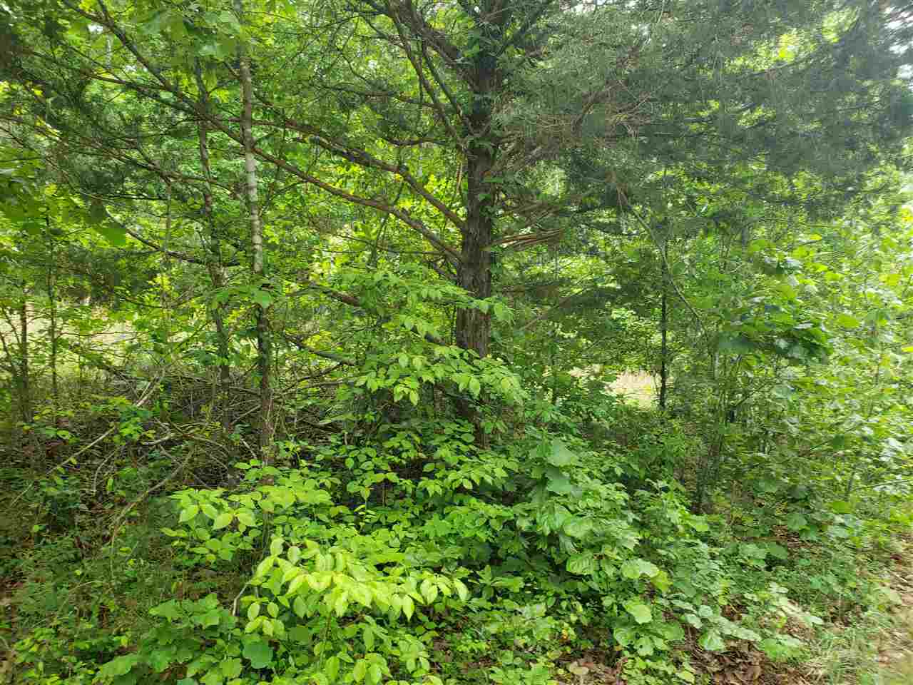 L-5 B-5 Flathead  Cherokee Village, AR