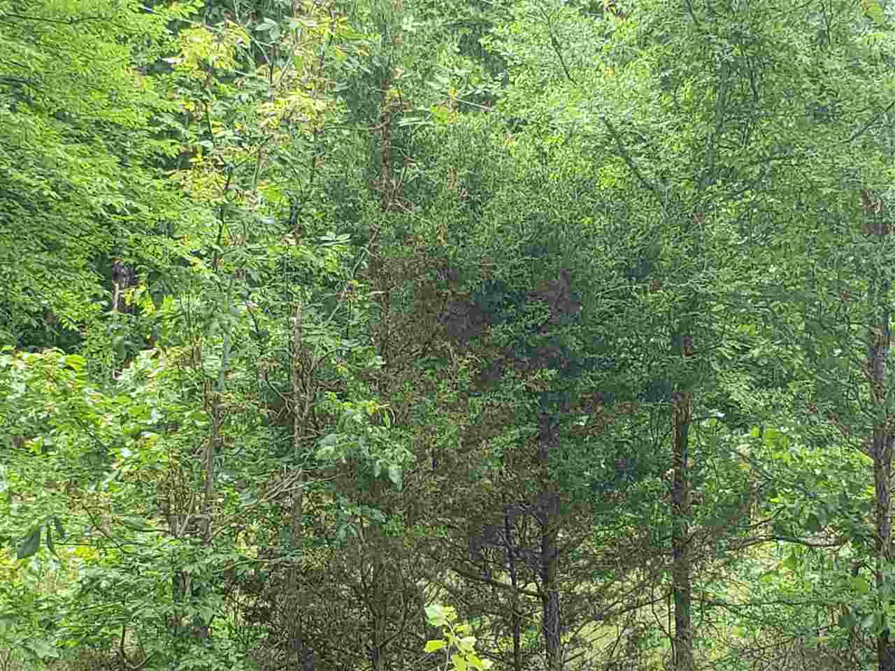 L-5 B-5 Flathead  Cherokee Village, AR