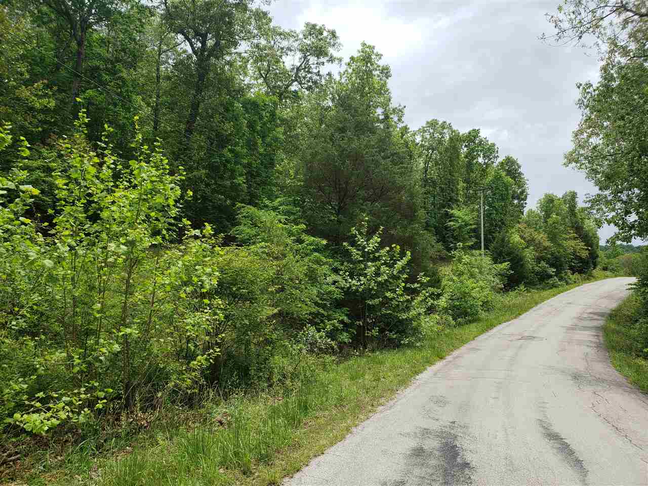 L-27 B-5 Flathead  Cherokee Village, AR
