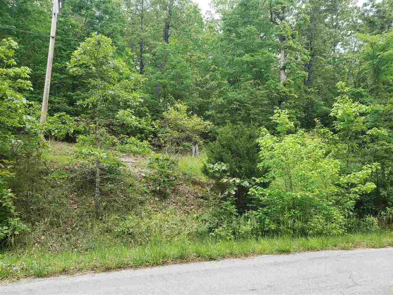 L-27 B-5 Flathead  Cherokee Village, AR