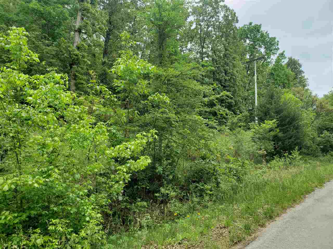L-27 B-5 Flathead  Cherokee Village, AR
