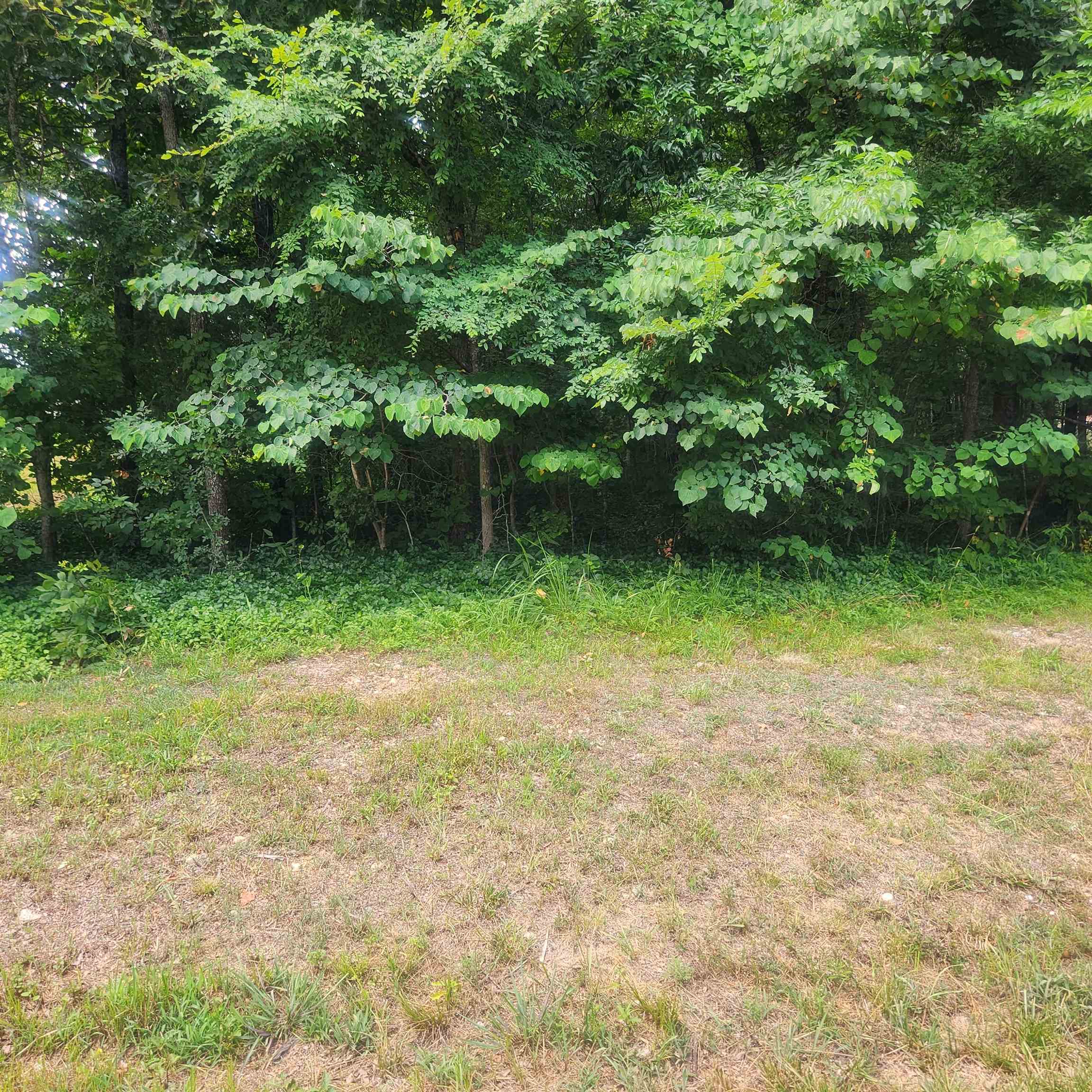 L-36, B-14 Cochise  Cherokee Village, AR