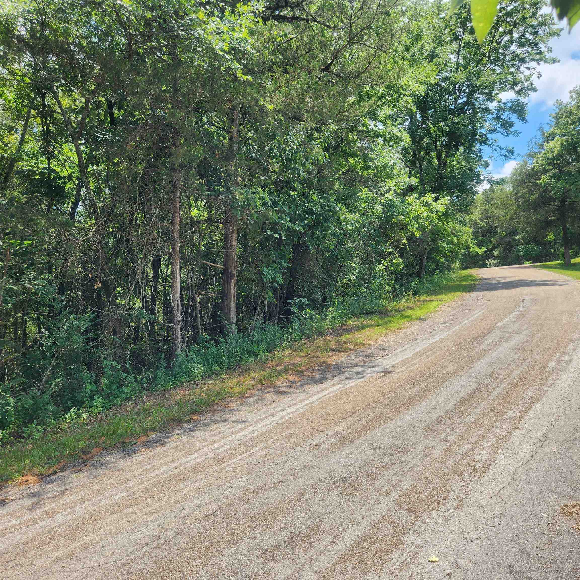 L-25, B-13A Altakima  Cherokee Village, AR