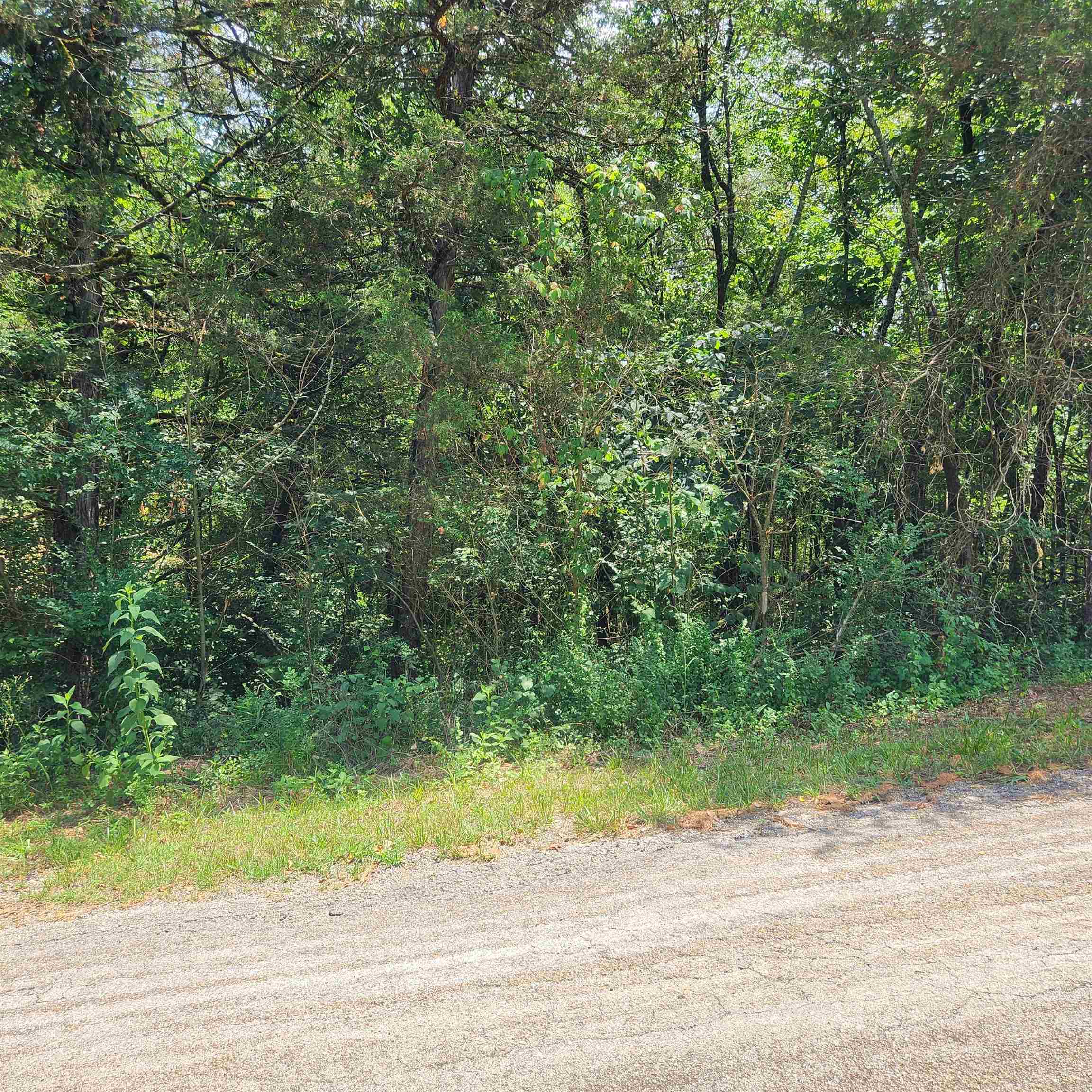 L-25, B-13A Altakima  Cherokee Village, AR