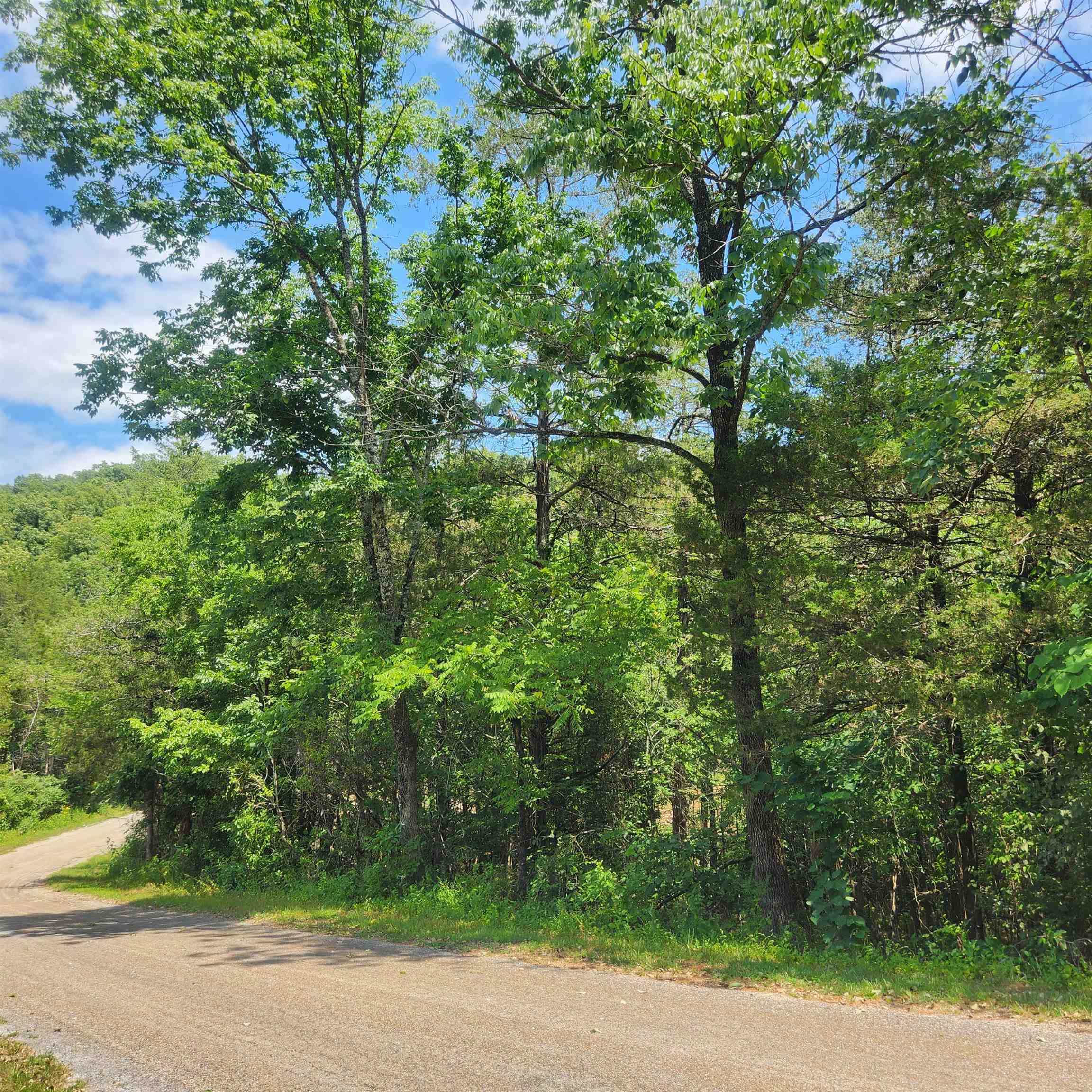 L-25, B-13A Altakima  Cherokee Village, AR