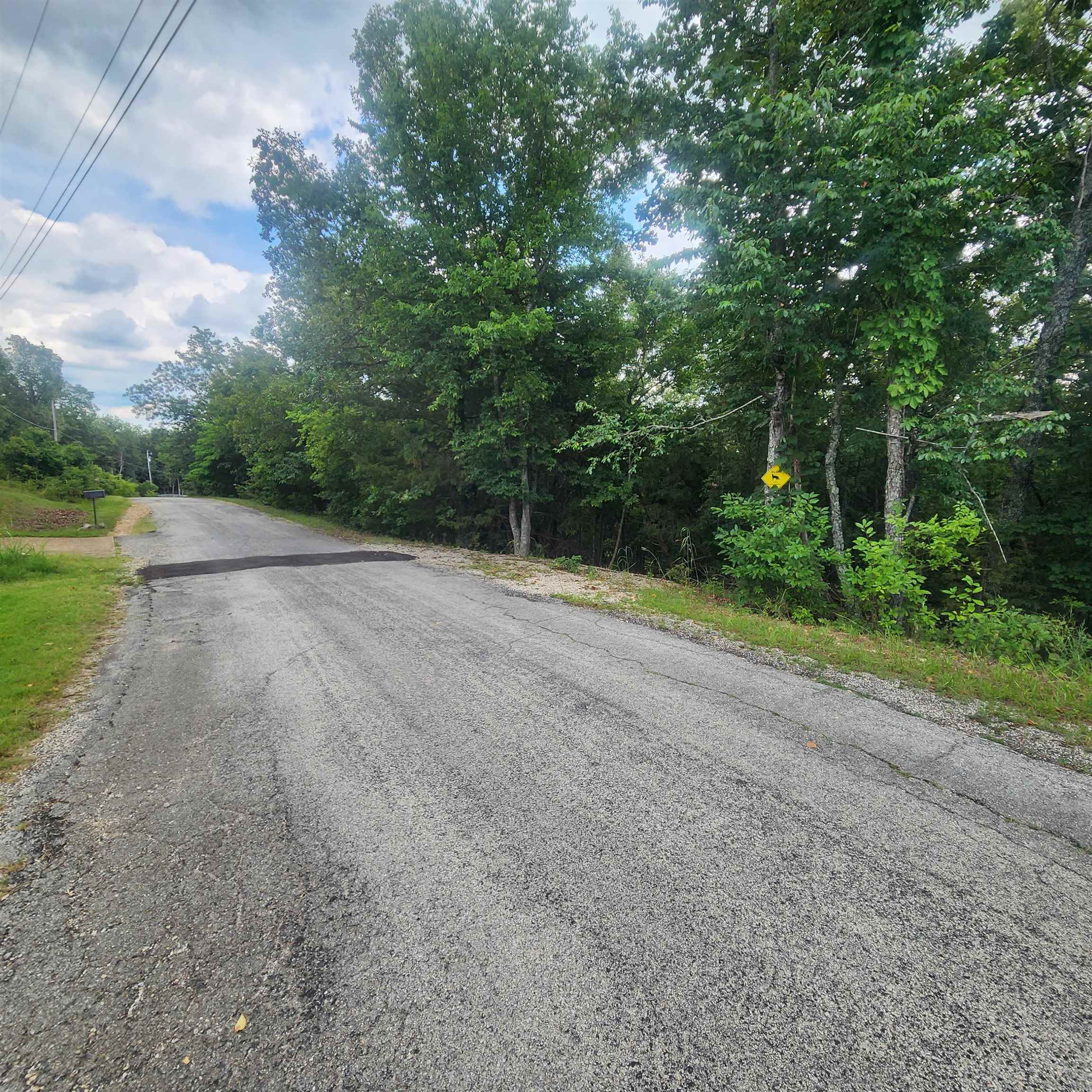 L-38 B-4 Topez  Cherokee Village, AR