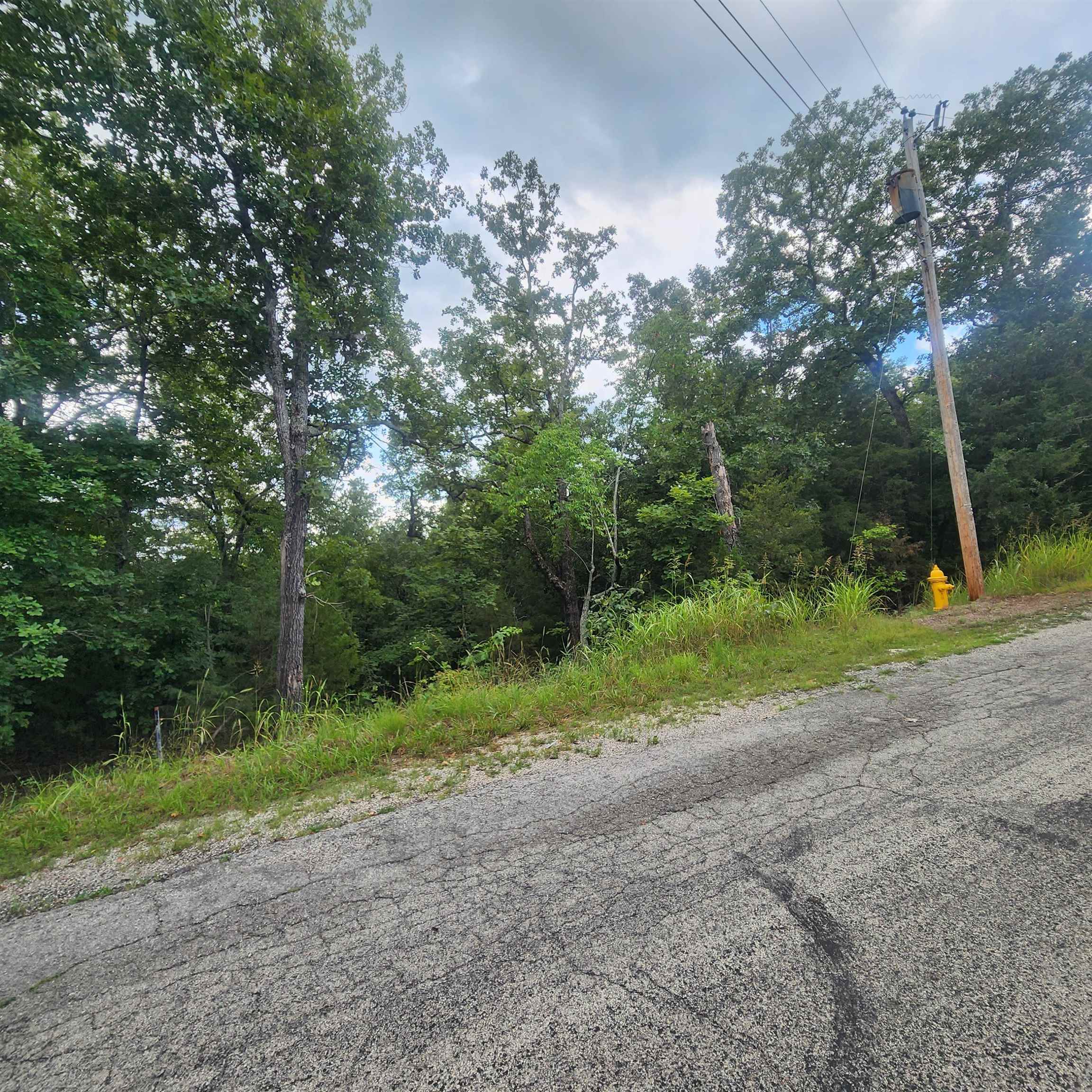 L-38 B-4 Topez  Cherokee Village, AR