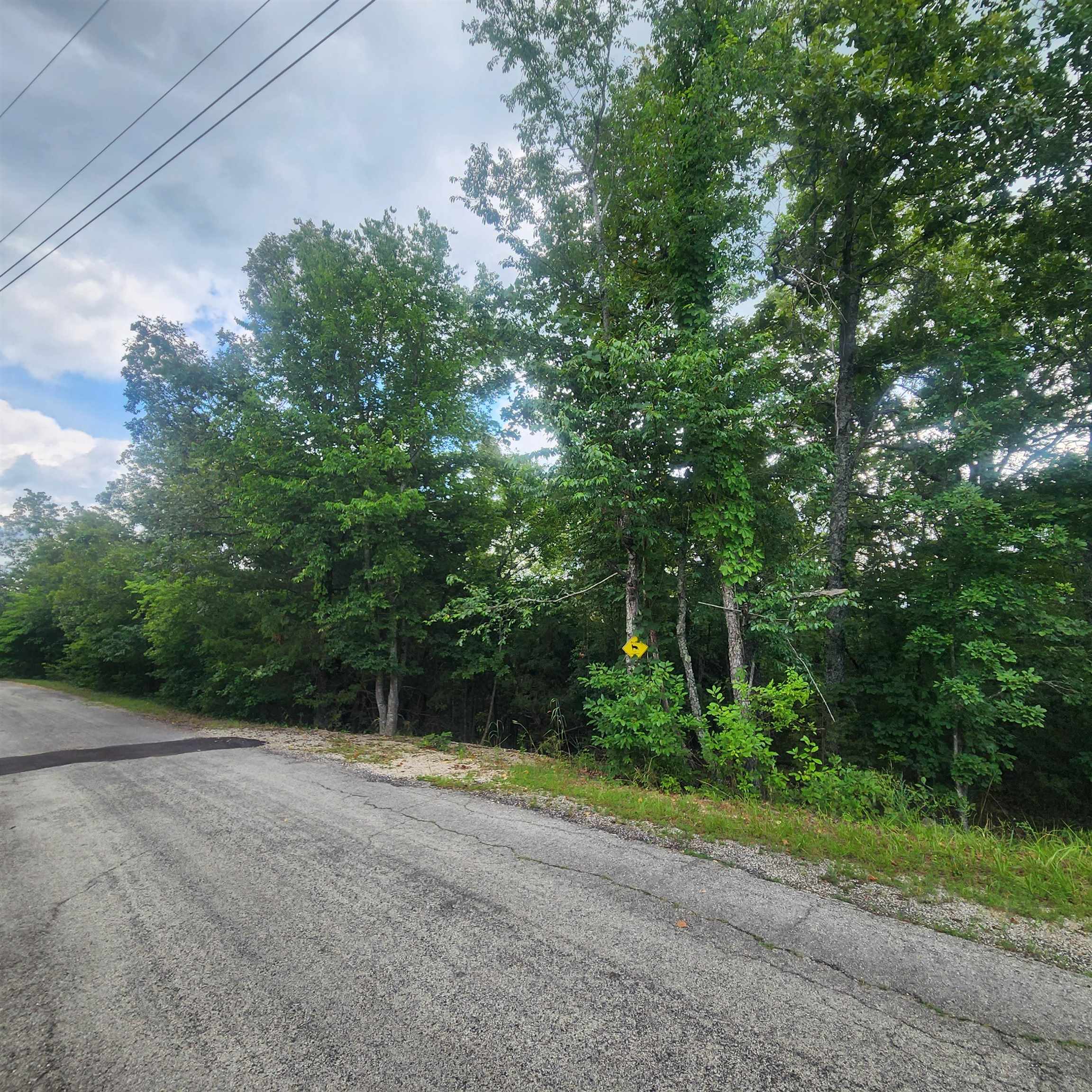 L-38 B-4 Topez  Cherokee Village, AR