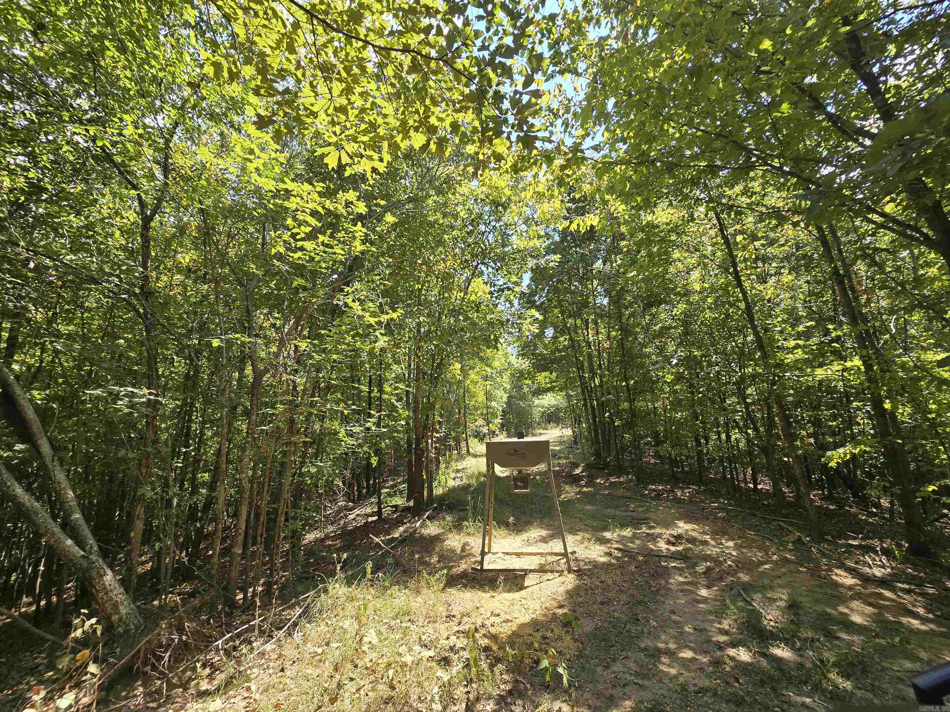 1001 Flecther  Forest Hill, AR