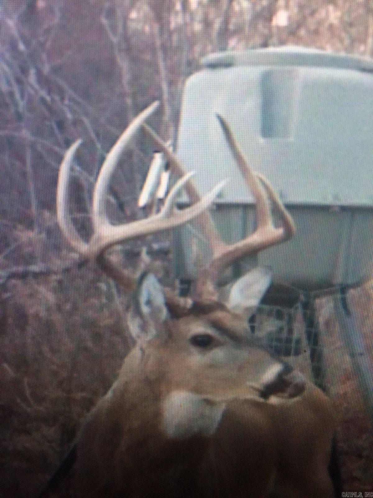 1001 Flecther  Forest Hill, AR