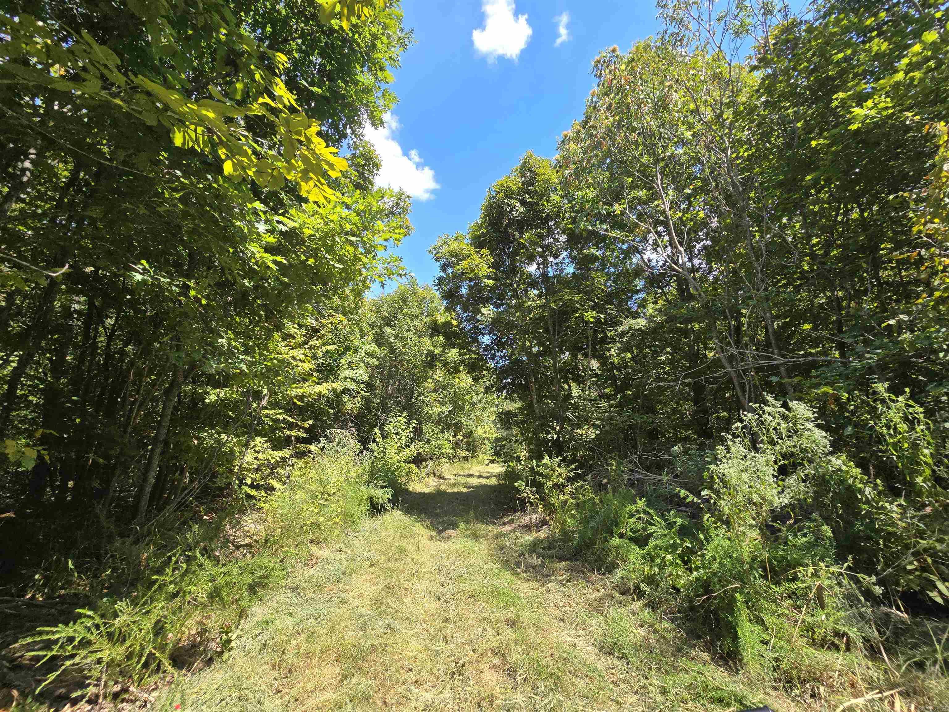 1001 Flecther  Forest Hill, AR