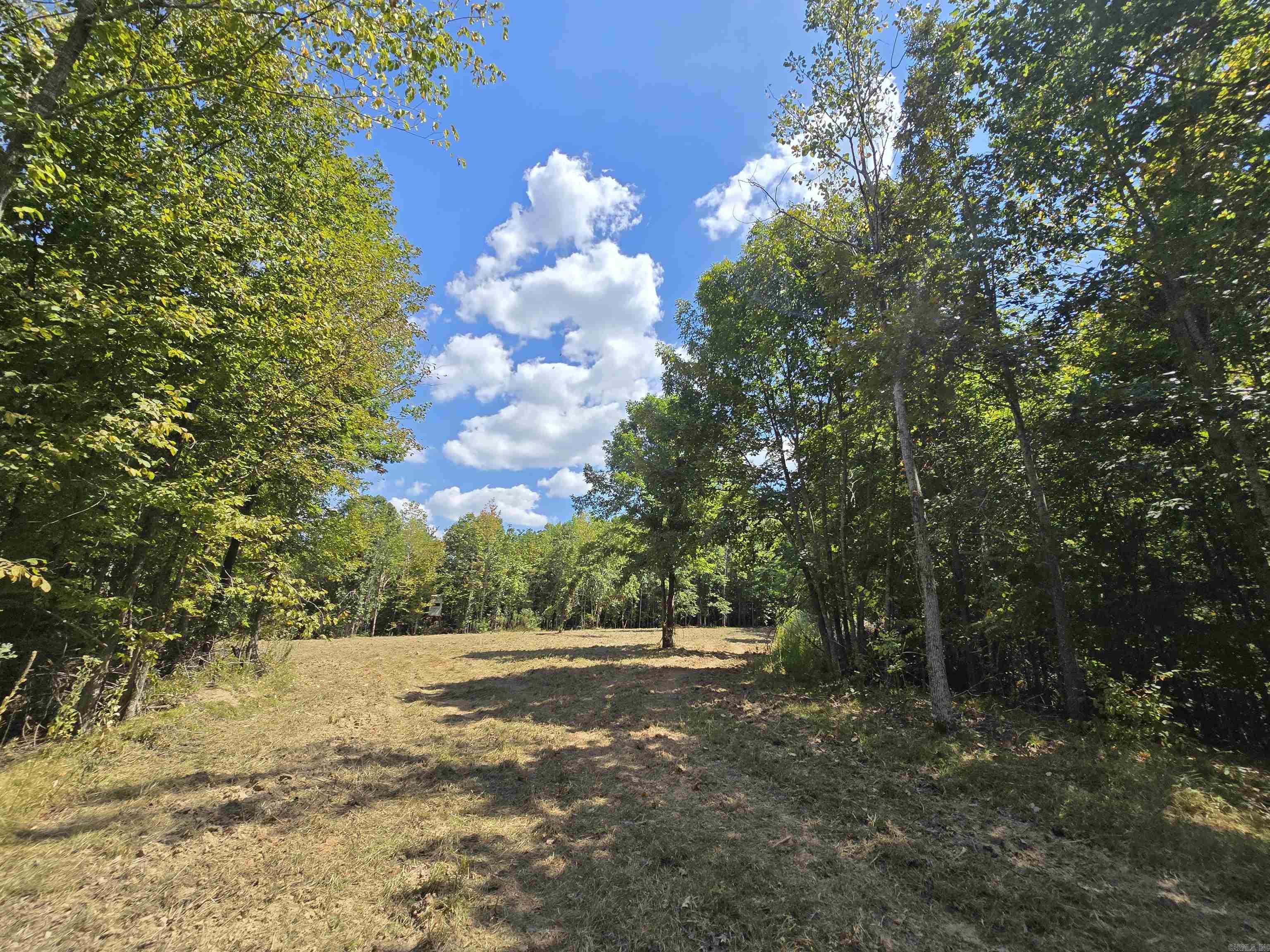 1001 Flecther  Forest Hill, AR