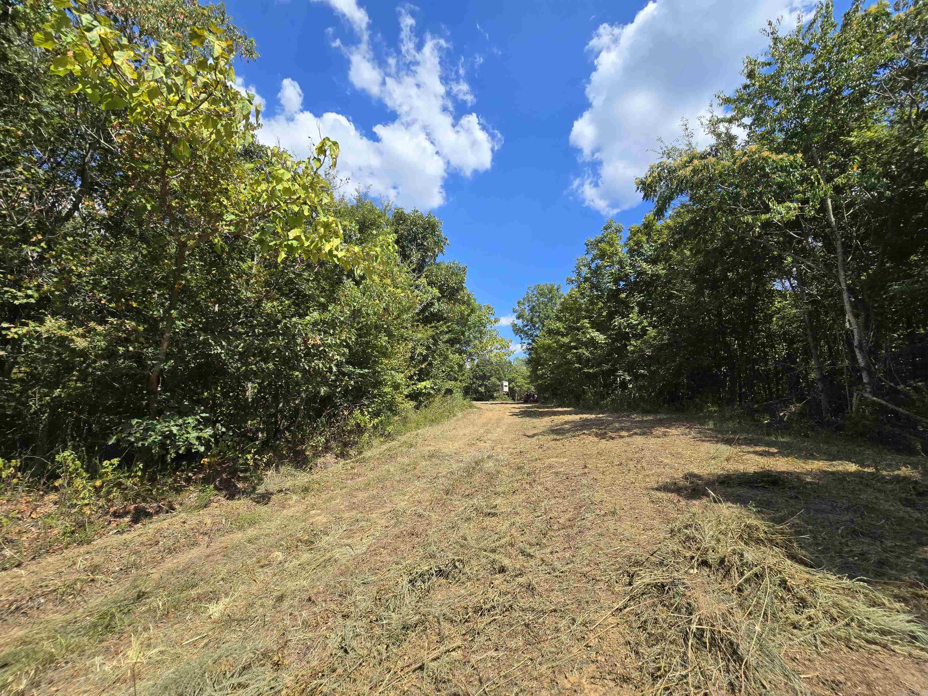 1001 Flecther  Forest Hill, AR