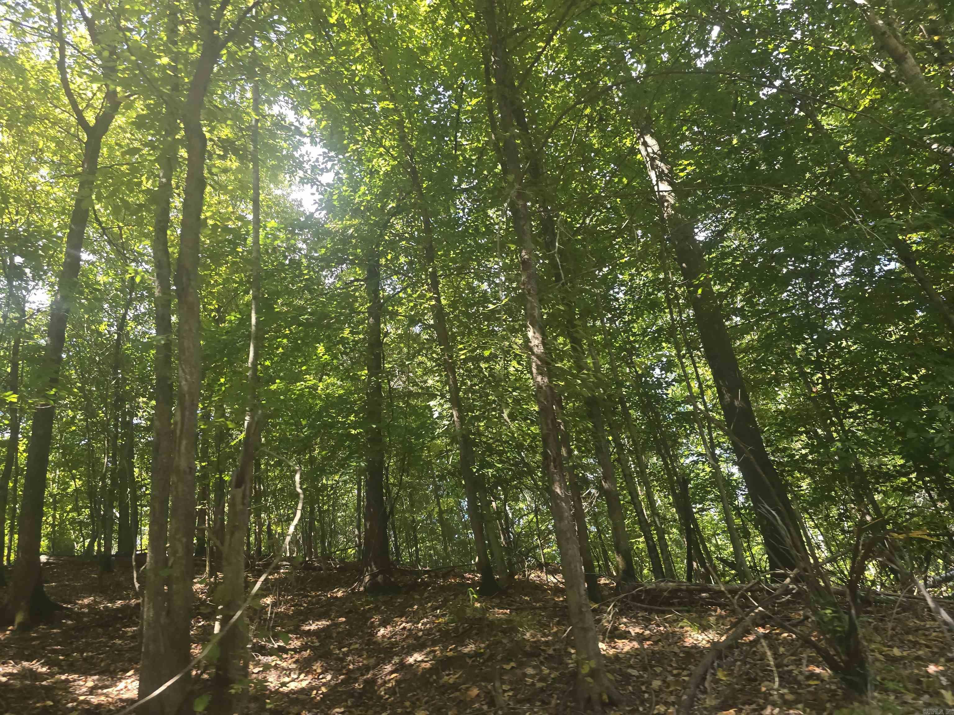 1001 Flecther  Forest Hill, AR