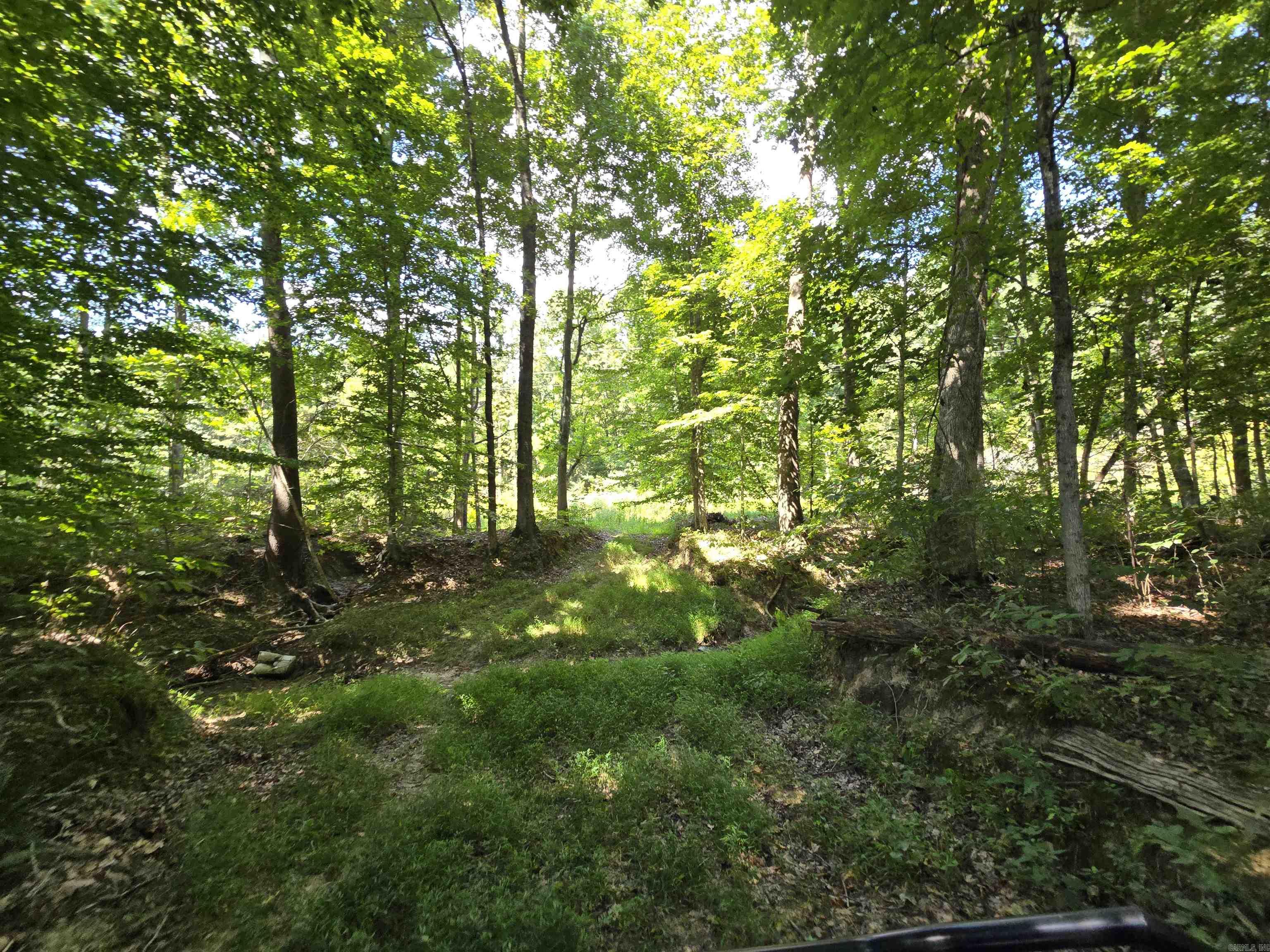 1001 Flecther  Forest Hill, AR