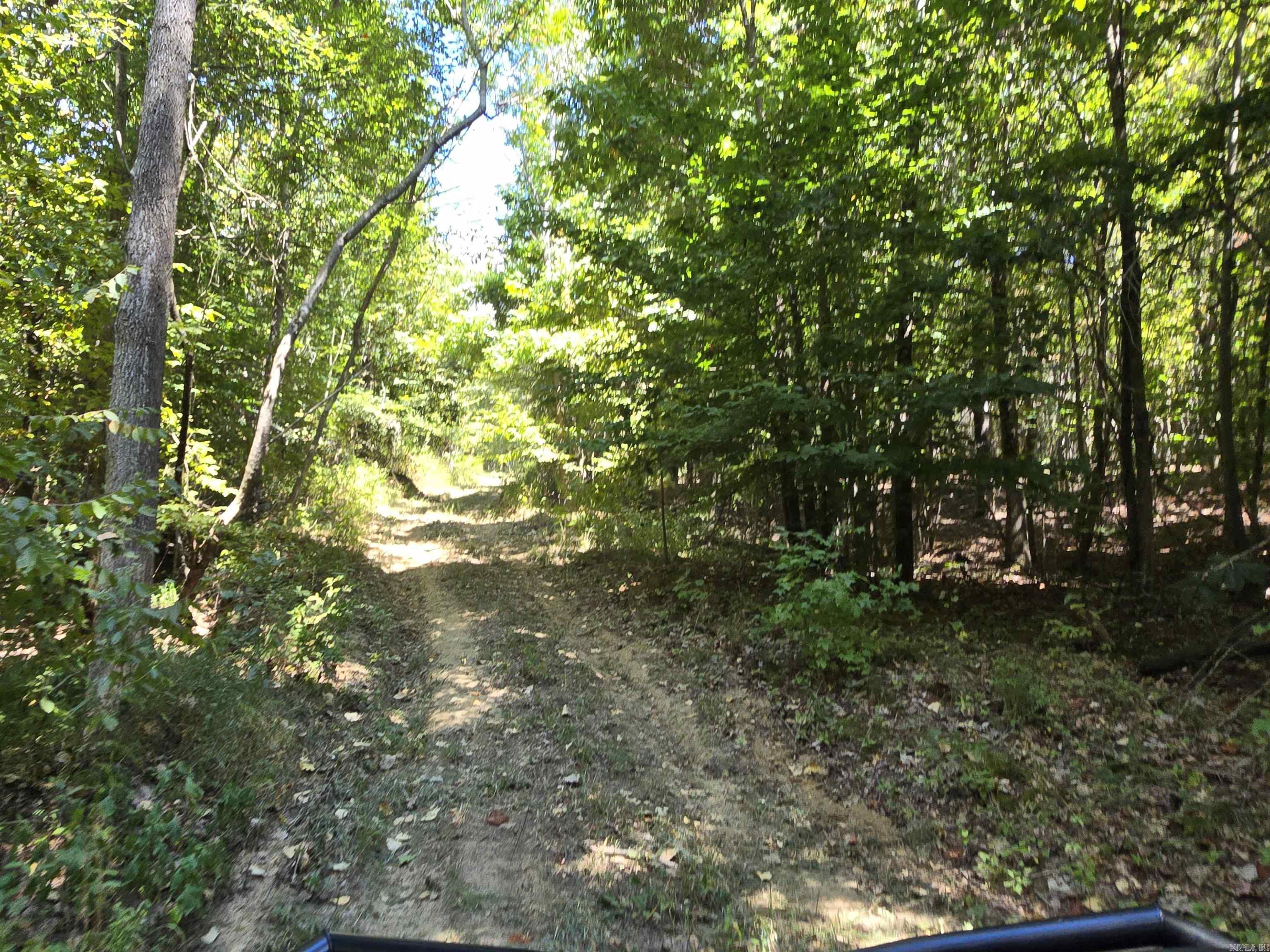 1001 Flecther  Forest Hill, AR