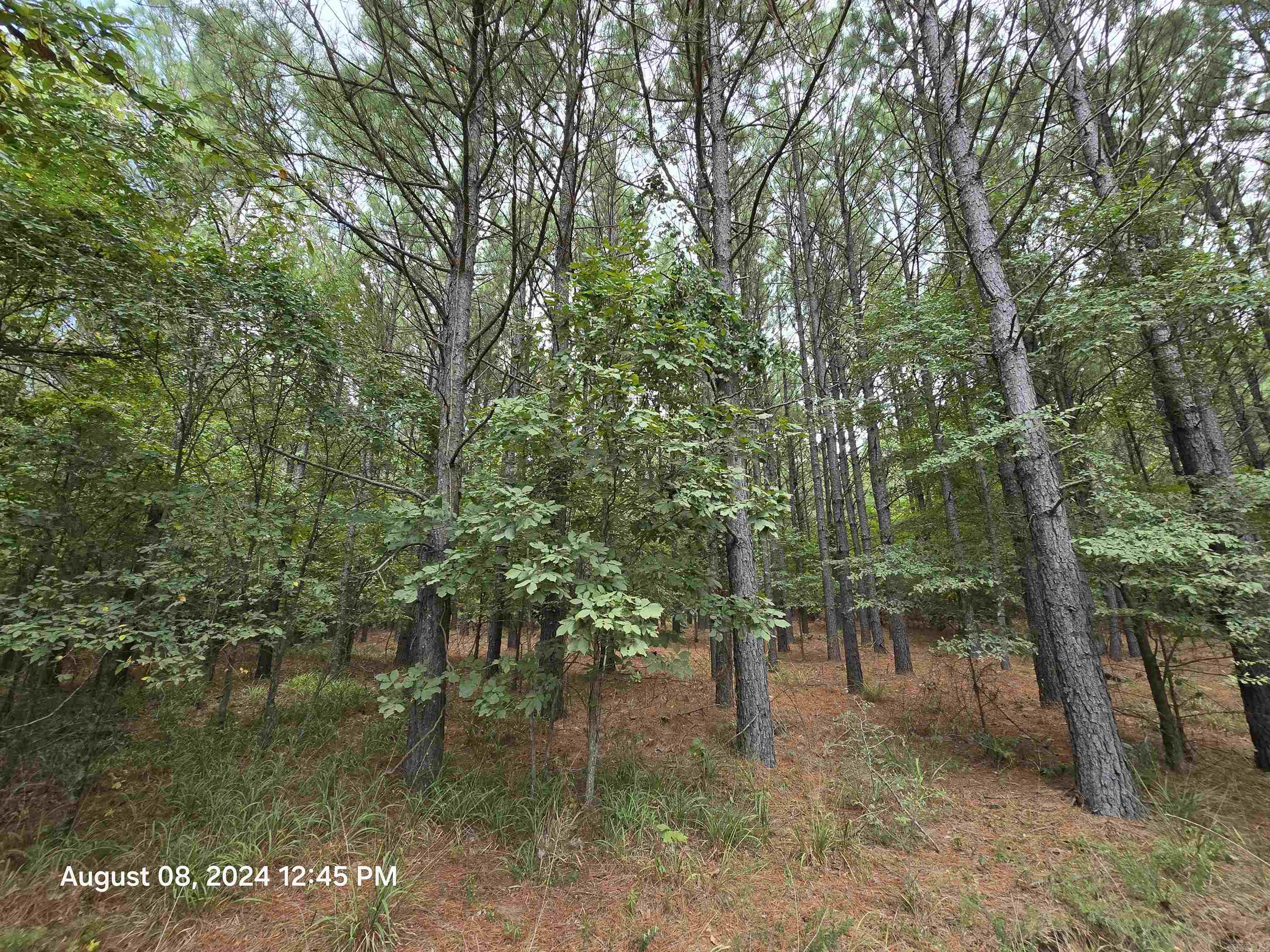 0 Goat Neck  Bradford, AR