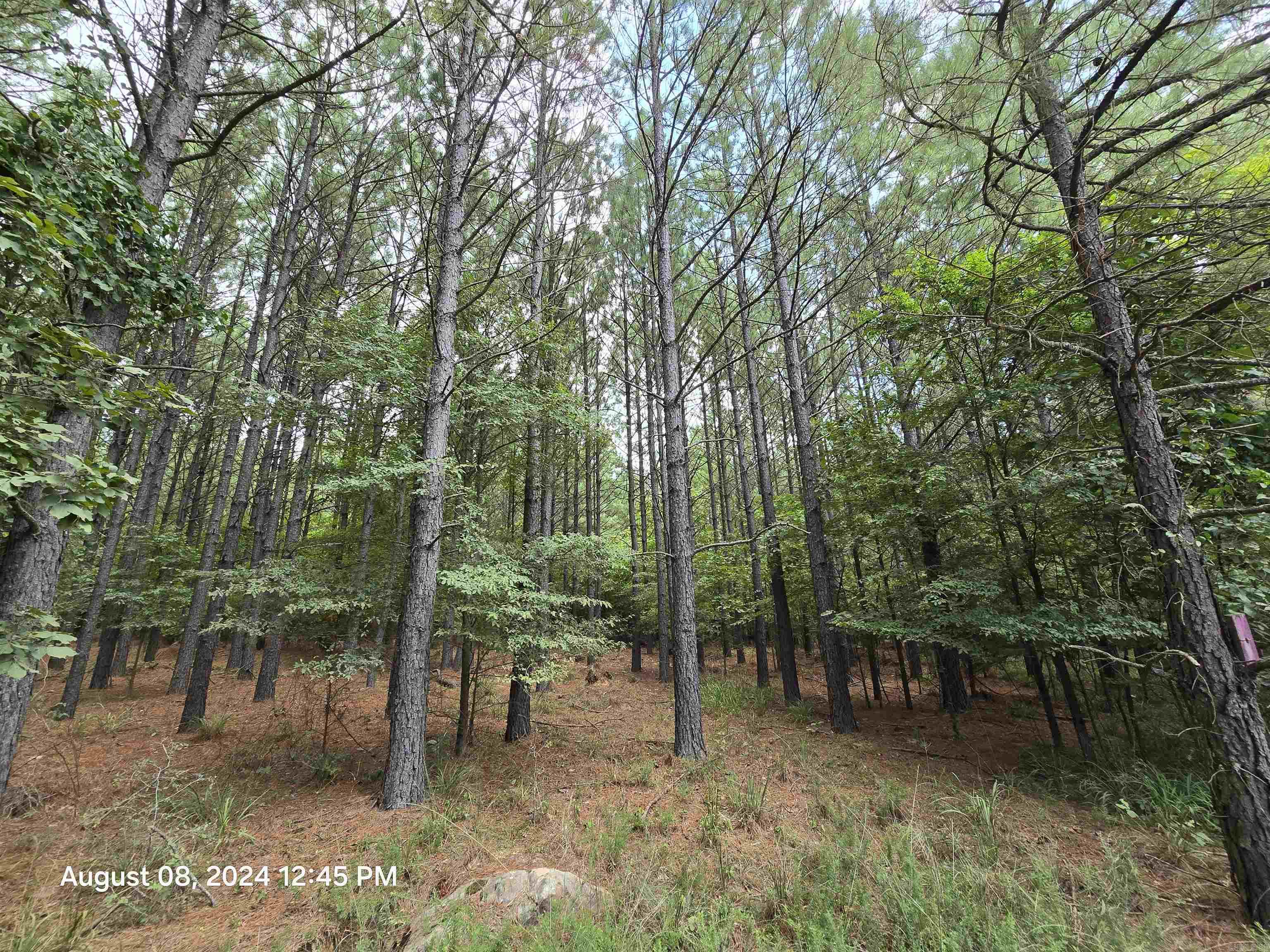 0 Goat Neck  Bradford, AR