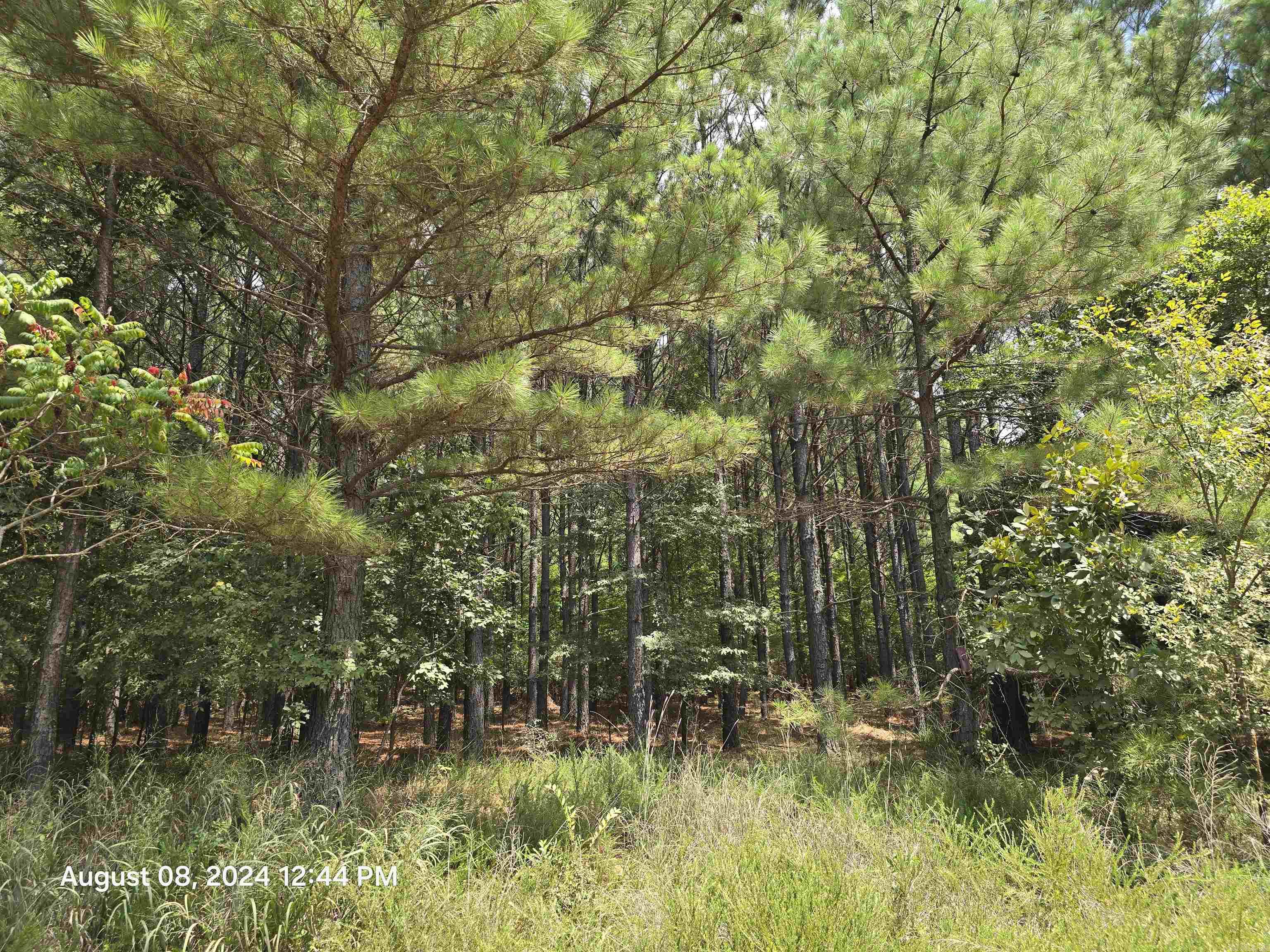 0 Goat Neck  Bradford, AR