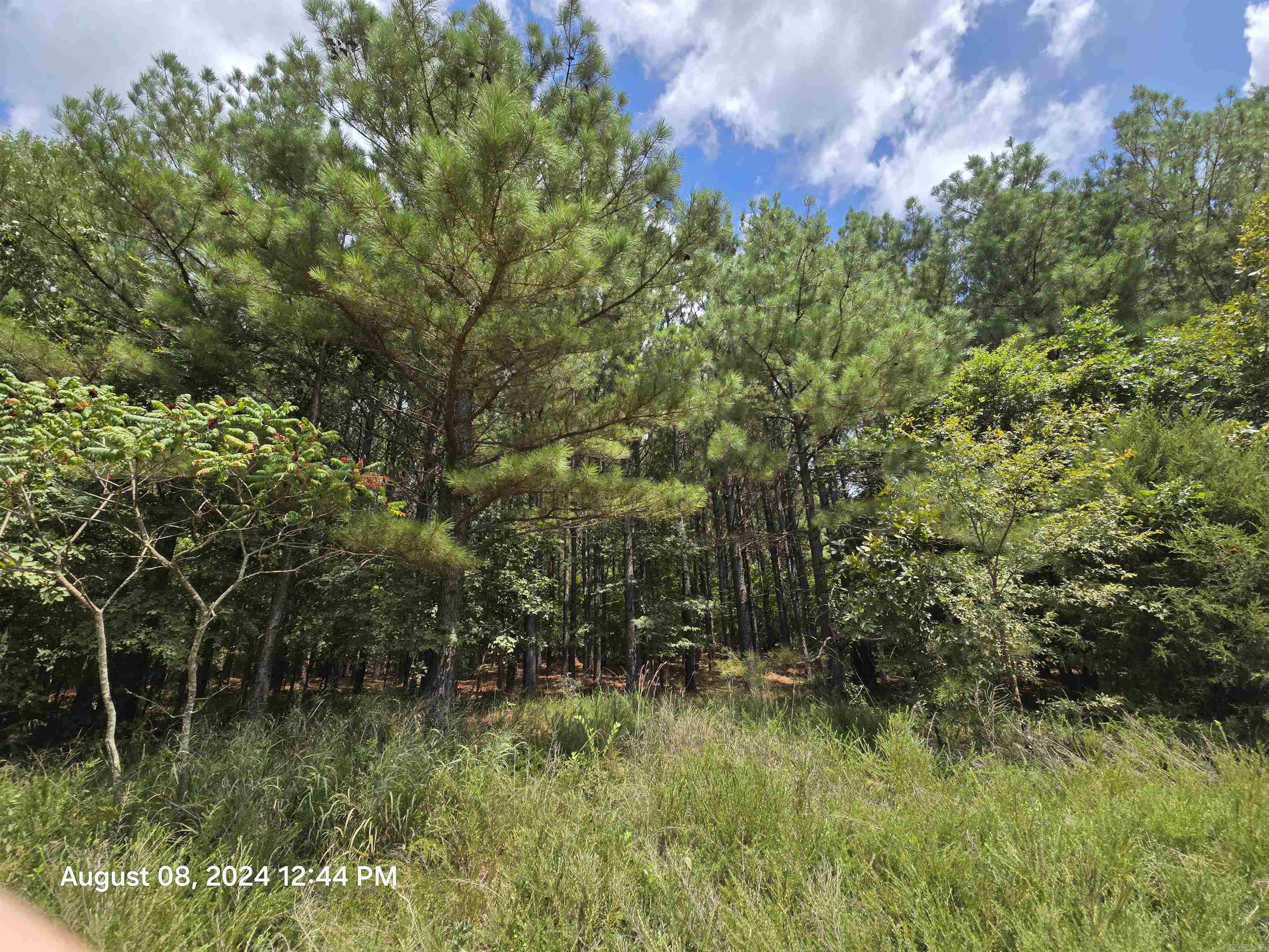 0 Goat Neck  Bradford, AR