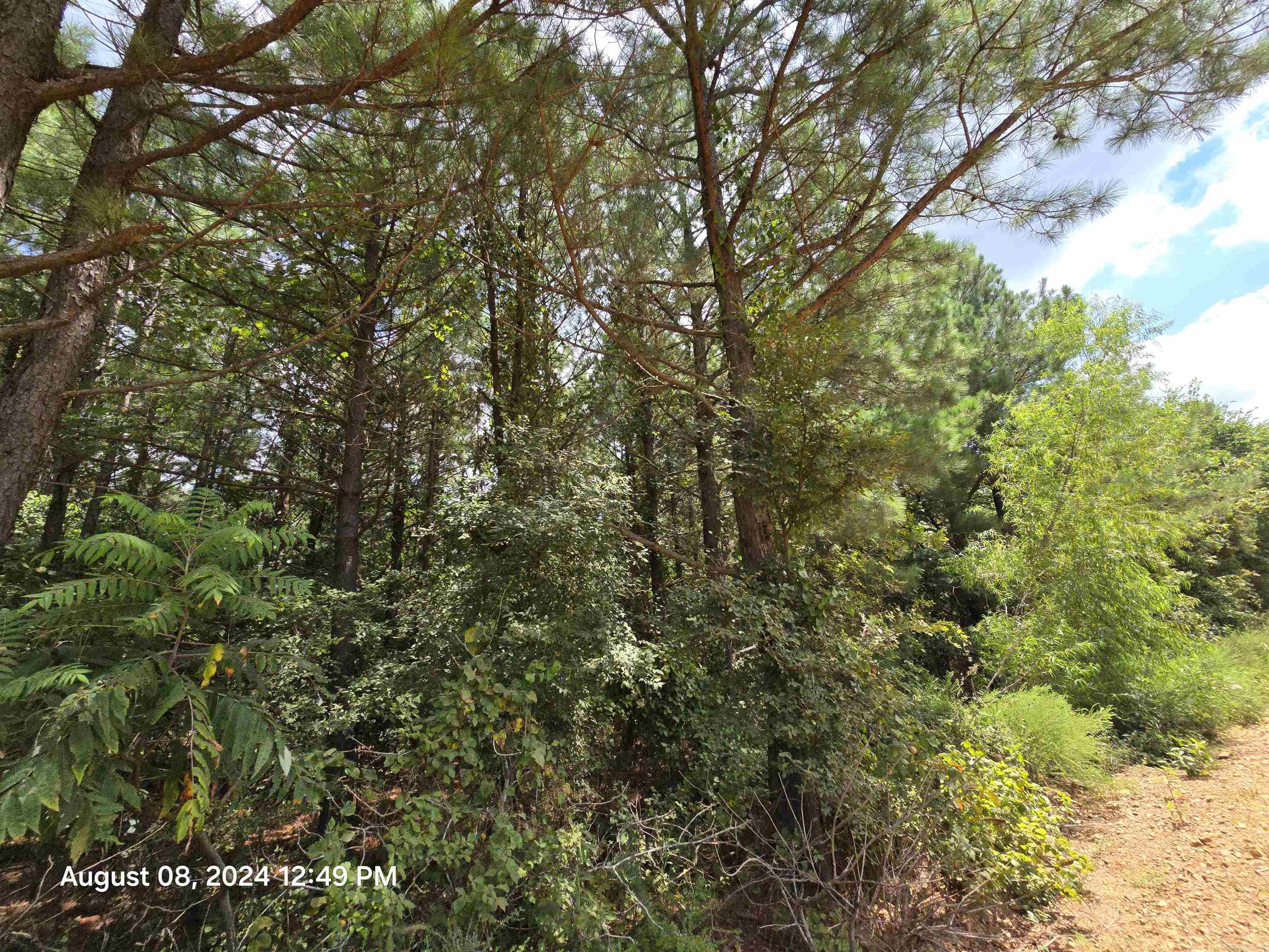 0 Goat Neck  Bradford, AR