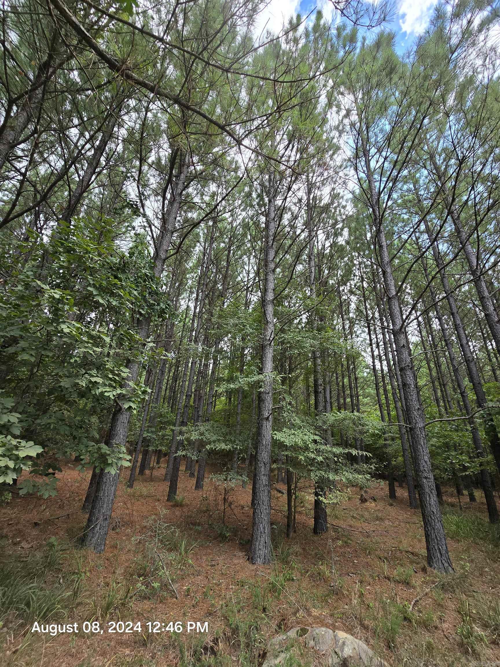 0 Goat Neck  Bradford, AR