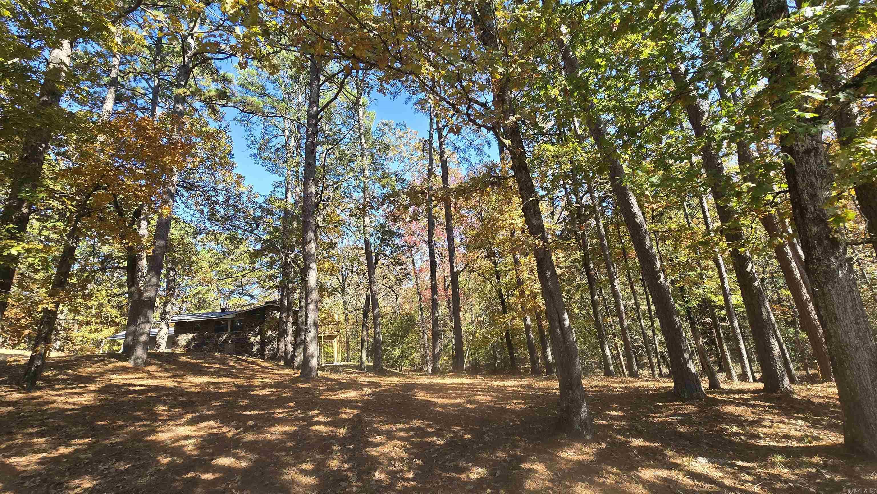 5225 Burnt Ridge  Shirley, AR