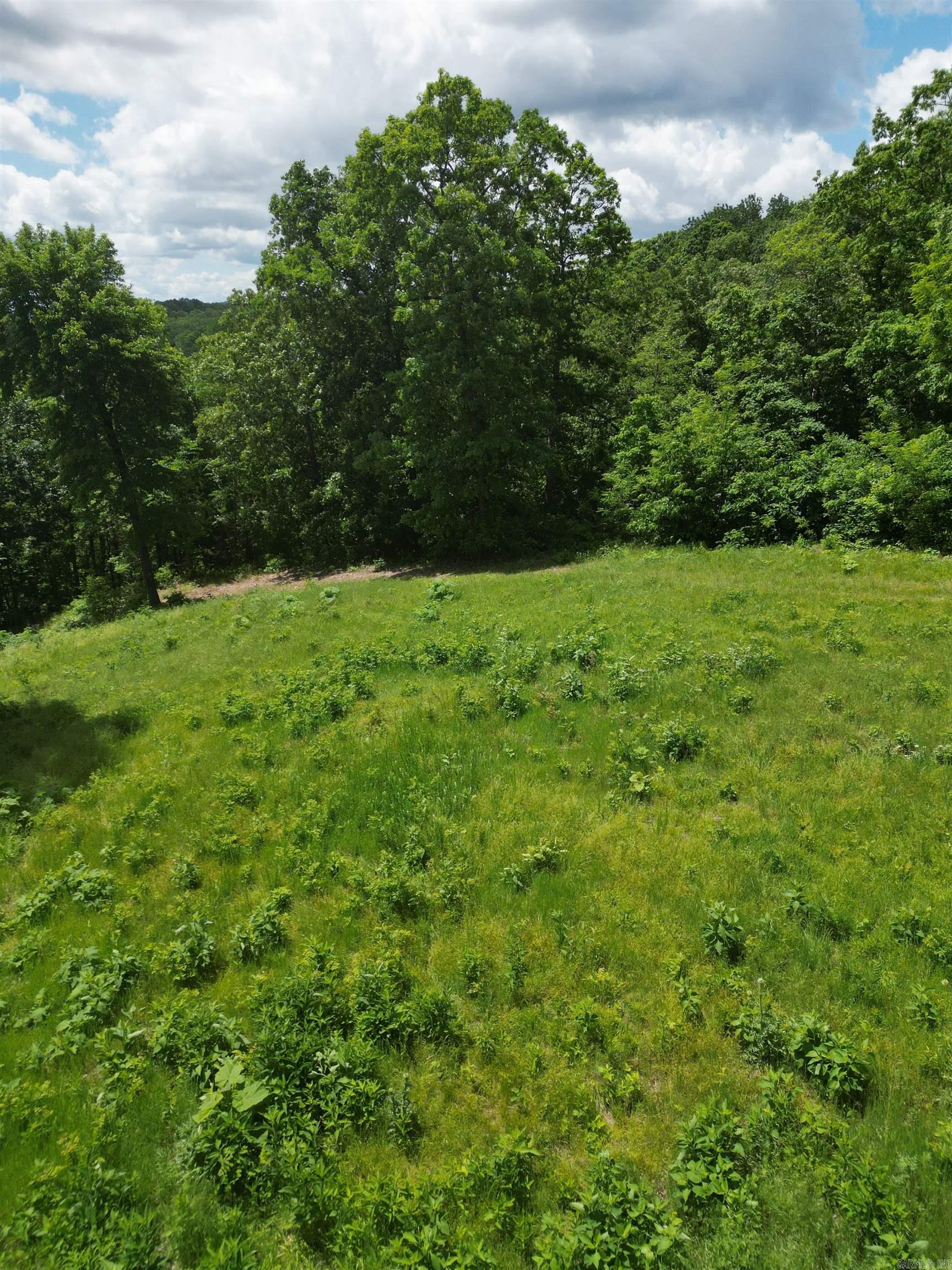 000 Eagle Point  Mountain View, AR