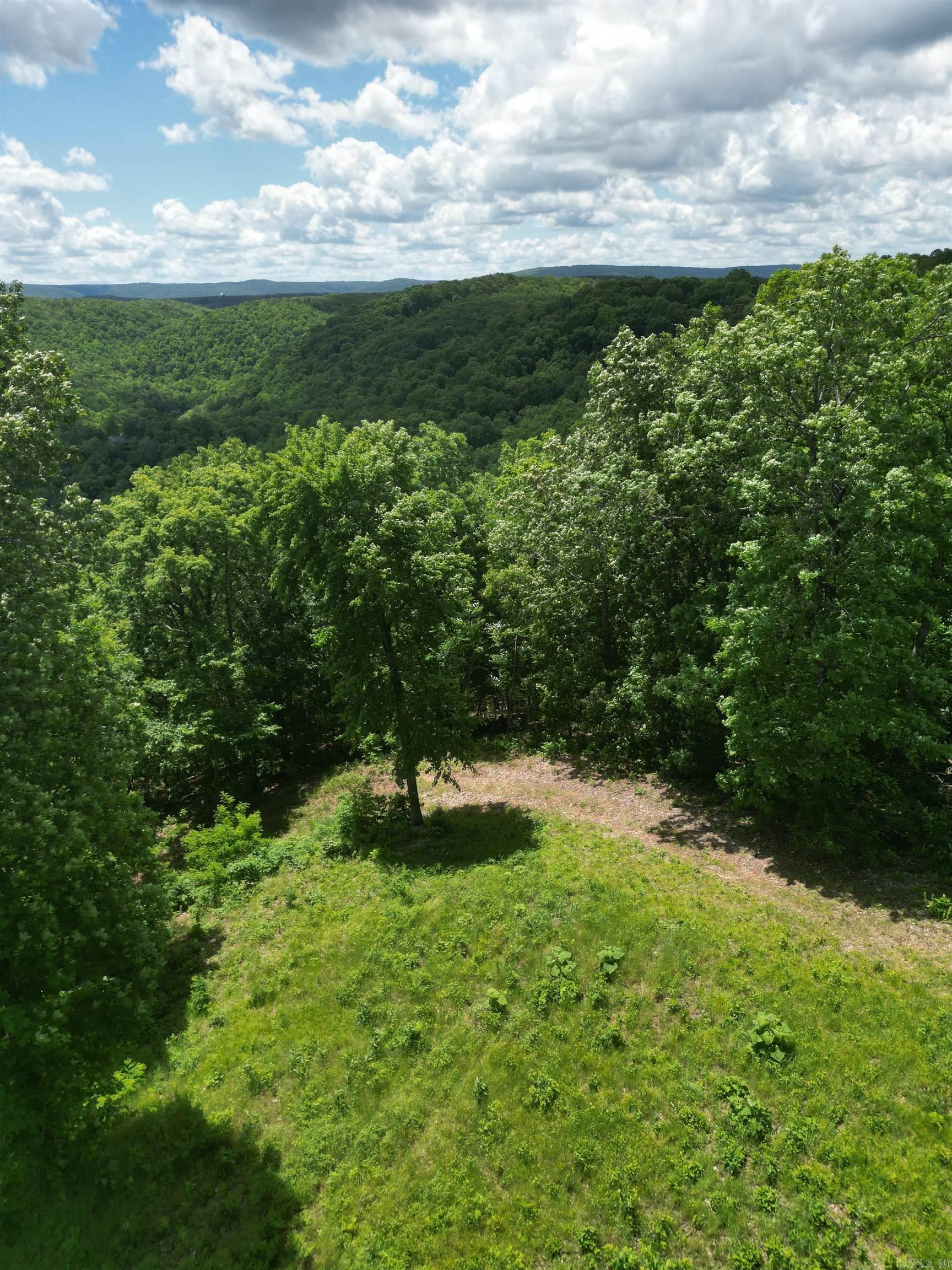 000 Eagle Point  Mountain View, AR