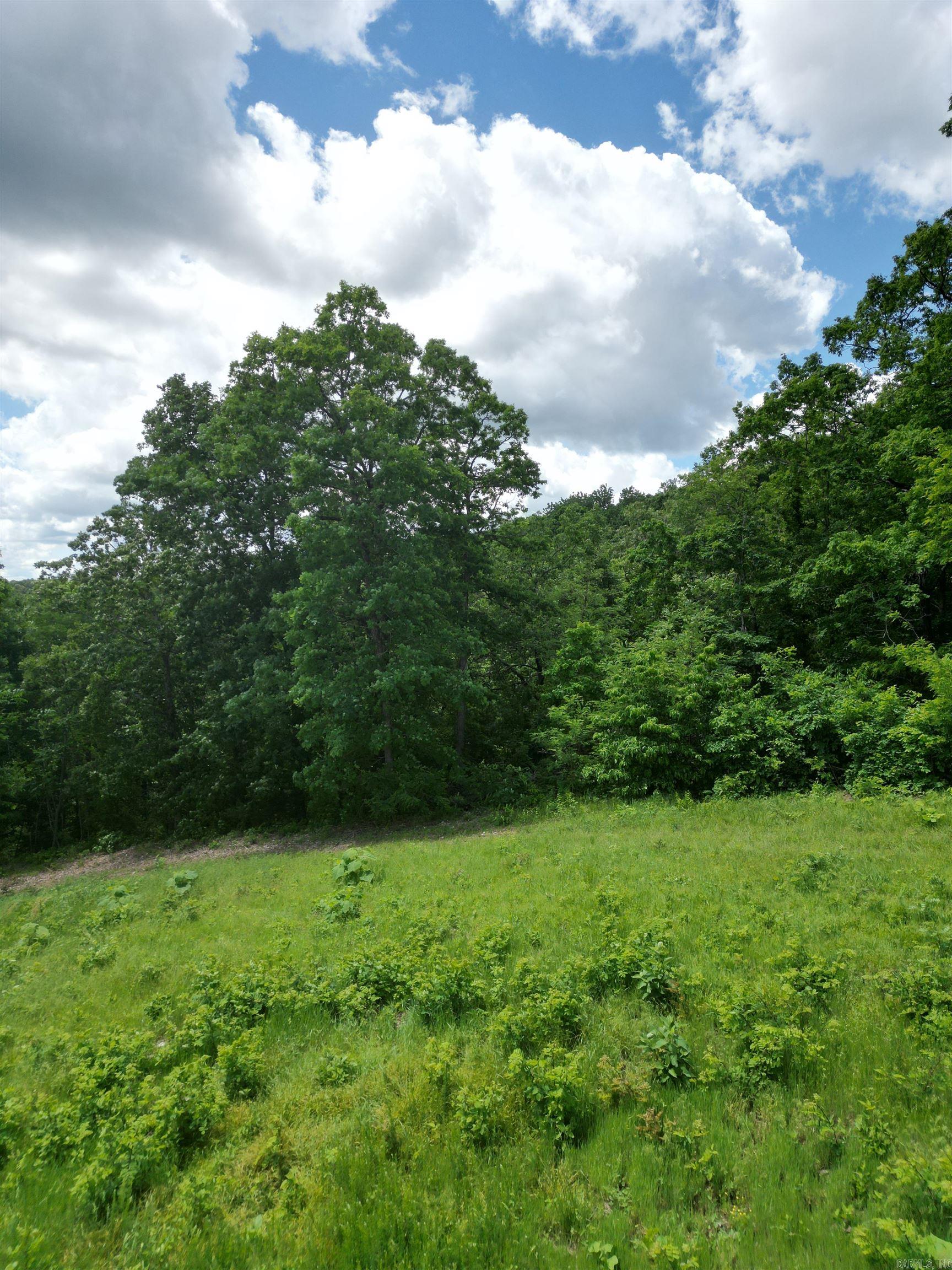 000 Eagle Point  Mountain View, AR