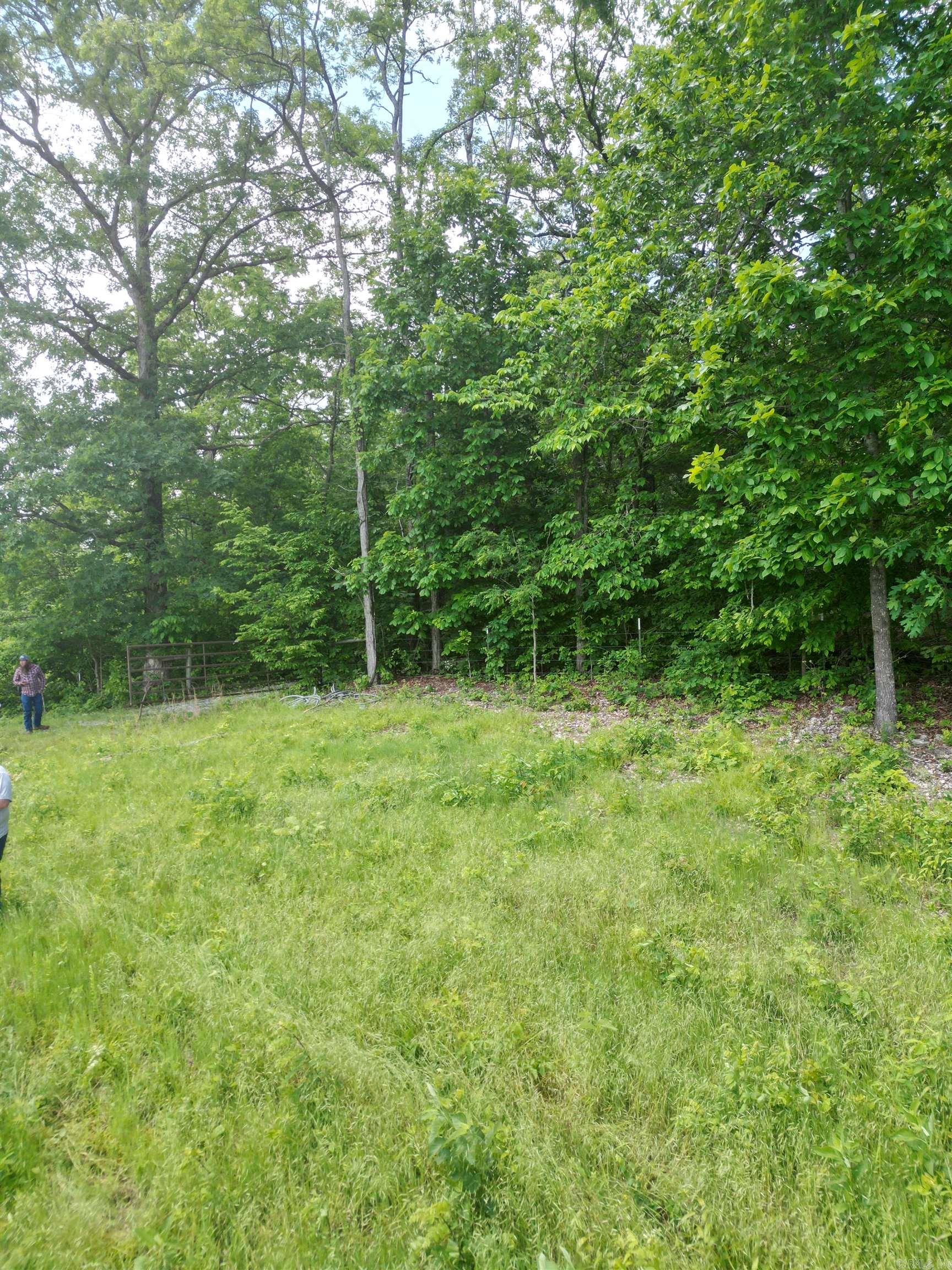 000 Eagle Point  Mountain View, AR