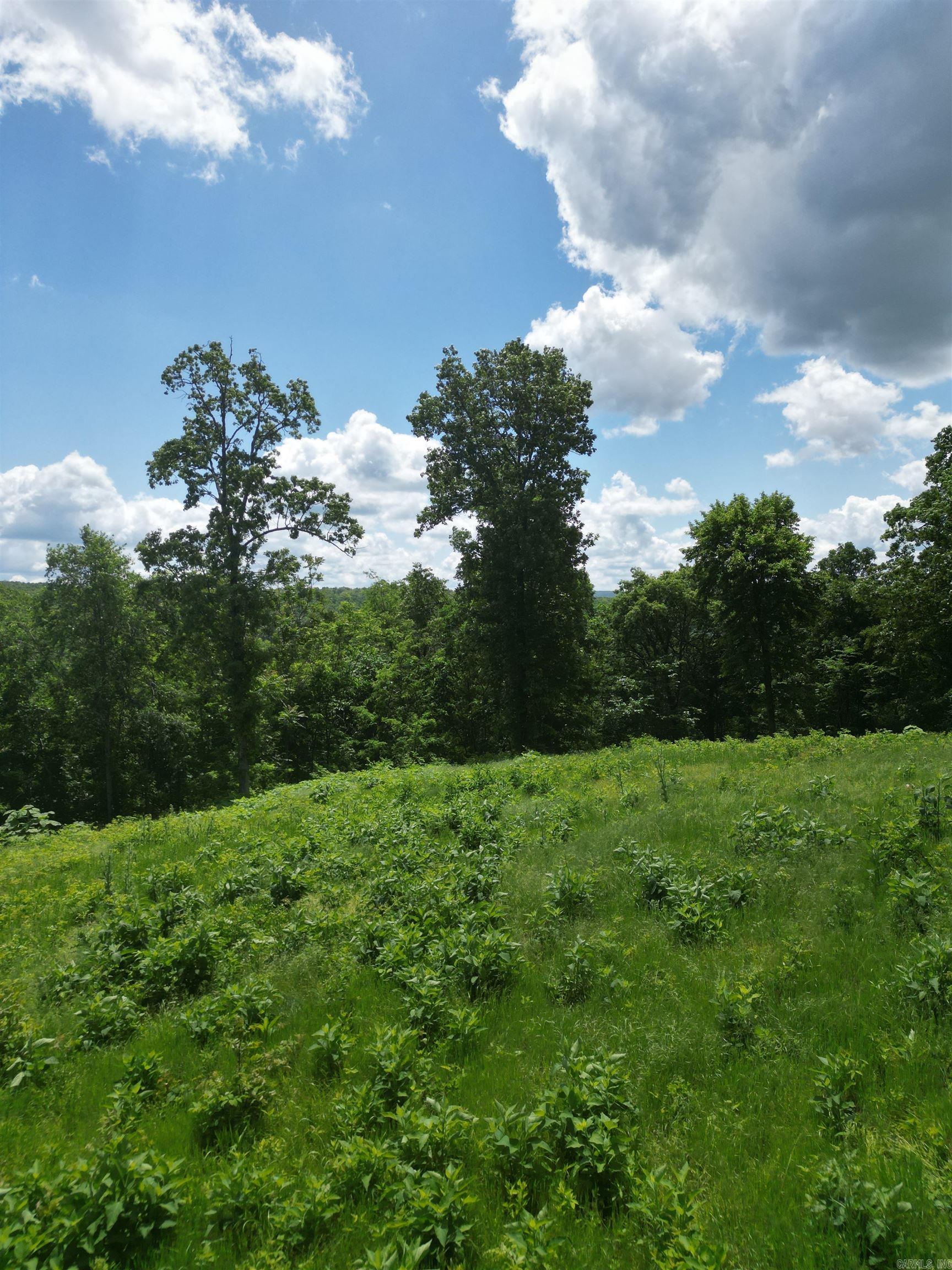 000 Eagle Point  Mountain View, AR