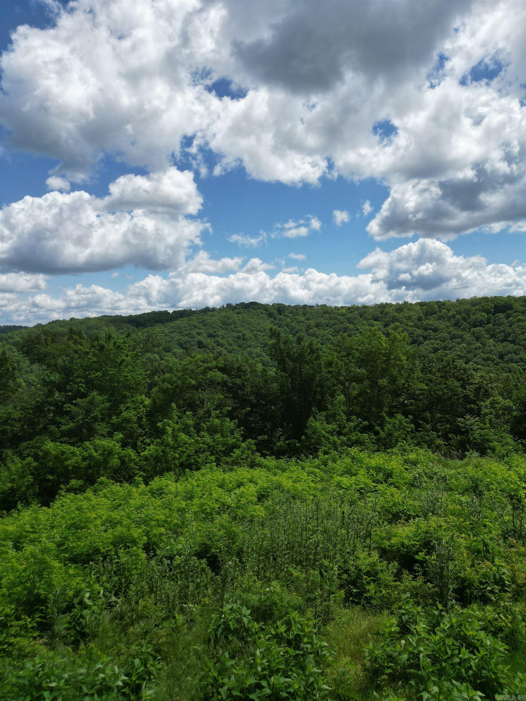 000 Eagle Point  Mountain View, AR