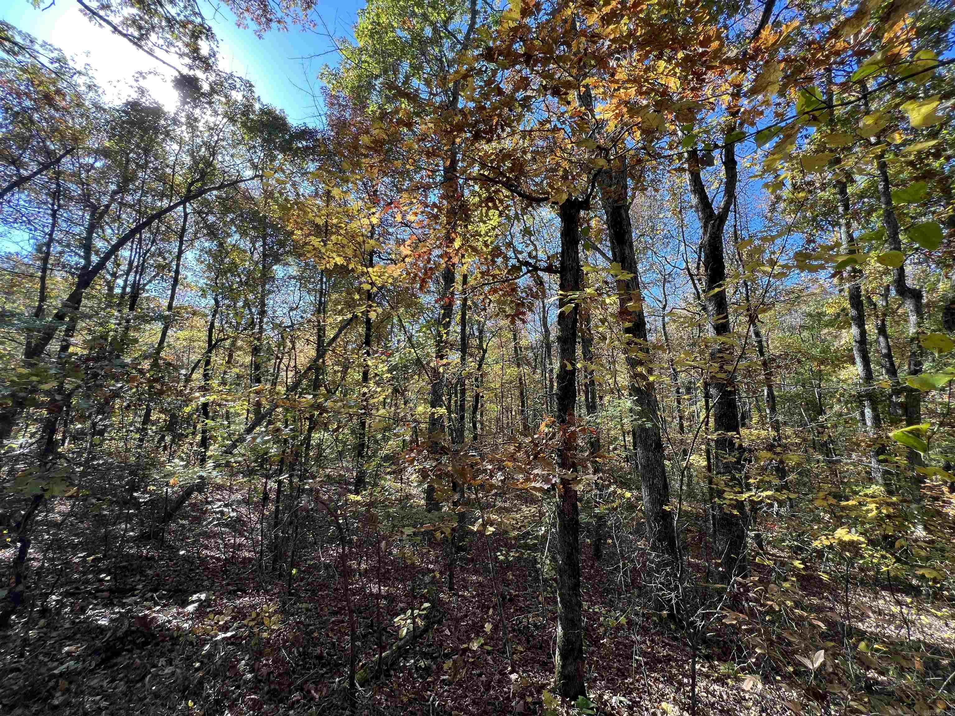 Lot 60R Holley Mountain Airpark  Clinton, AR