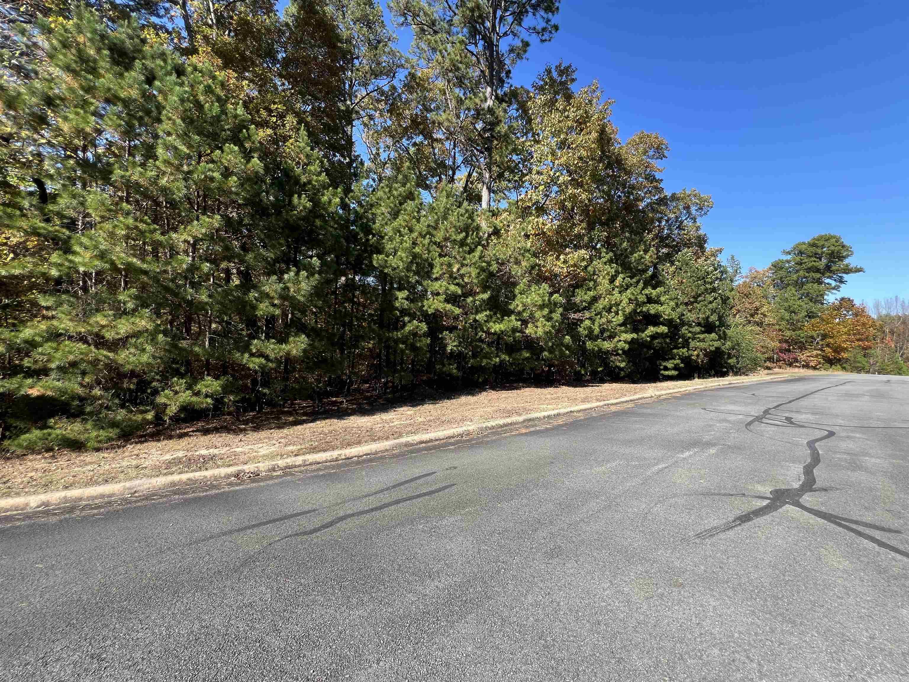 Lot 60R Holley Mountain Airpark  Clinton, AR