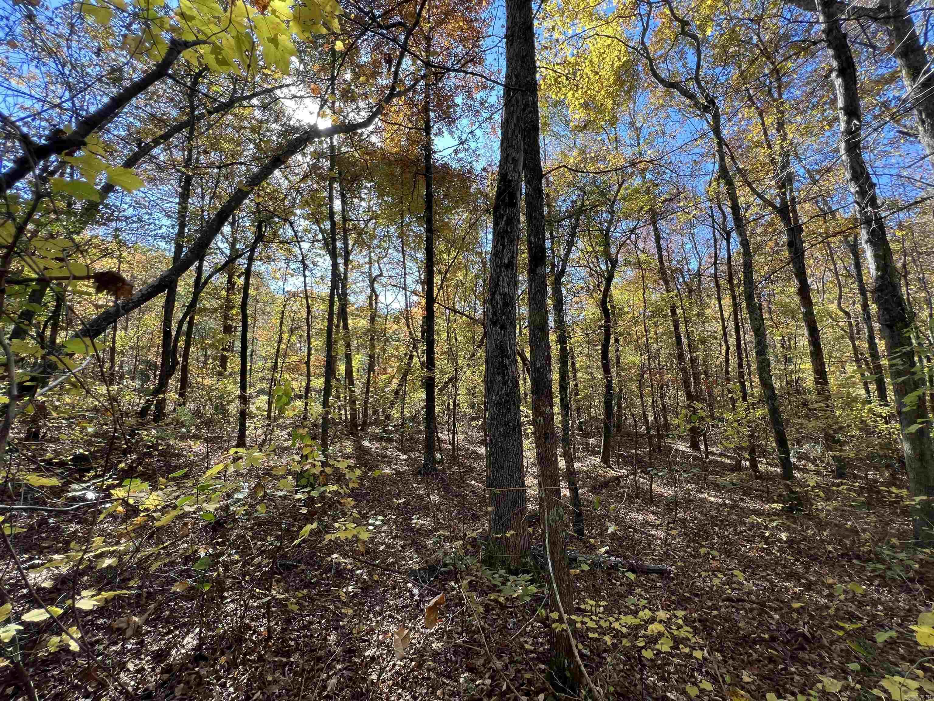 Lot 60R Holley Mountain Airpark  Clinton, AR