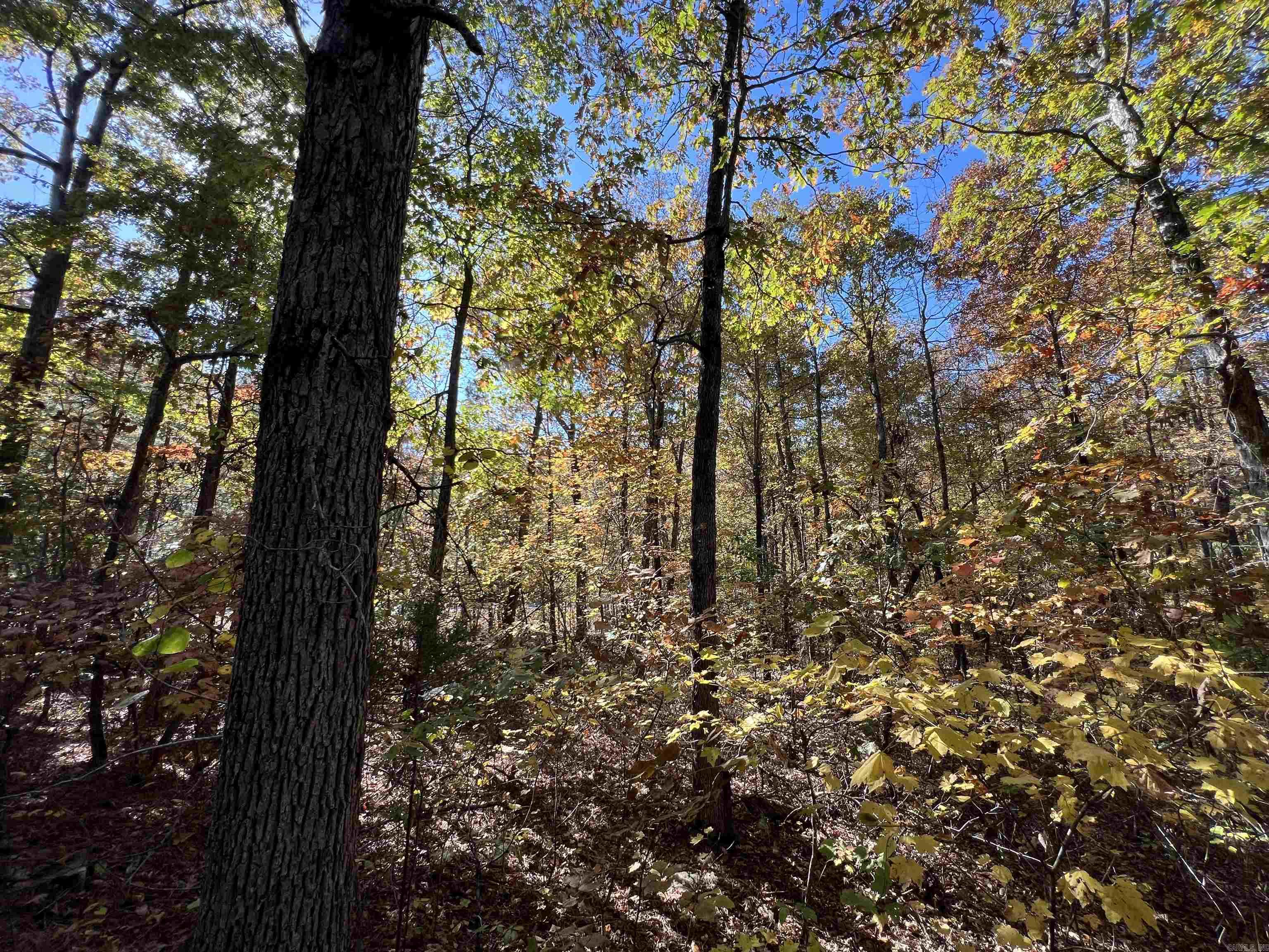 Lot 60R Holley Mountain Airpark  Clinton, AR