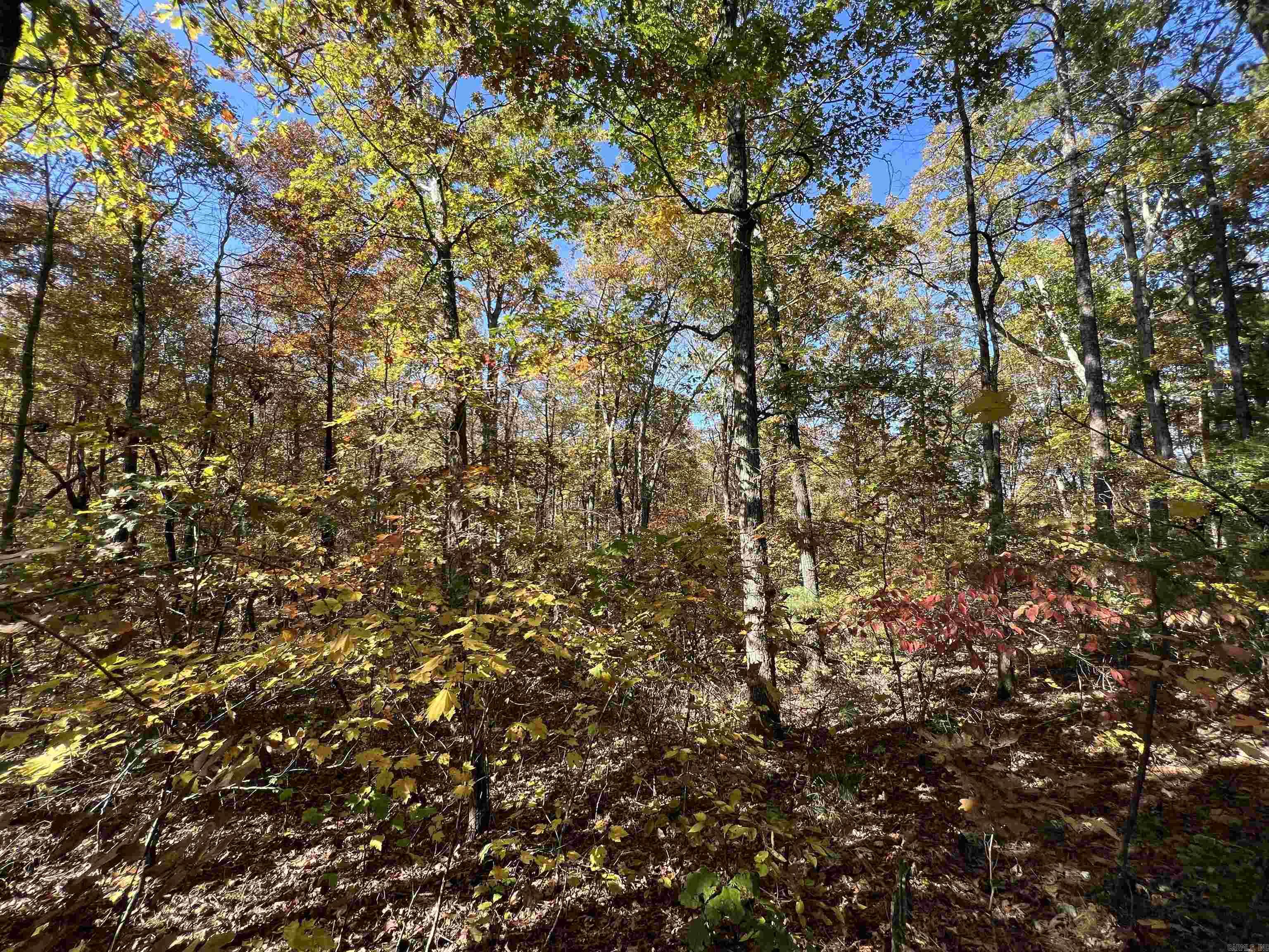 Lot 60R Holley Mountain Airpark  Clinton, AR