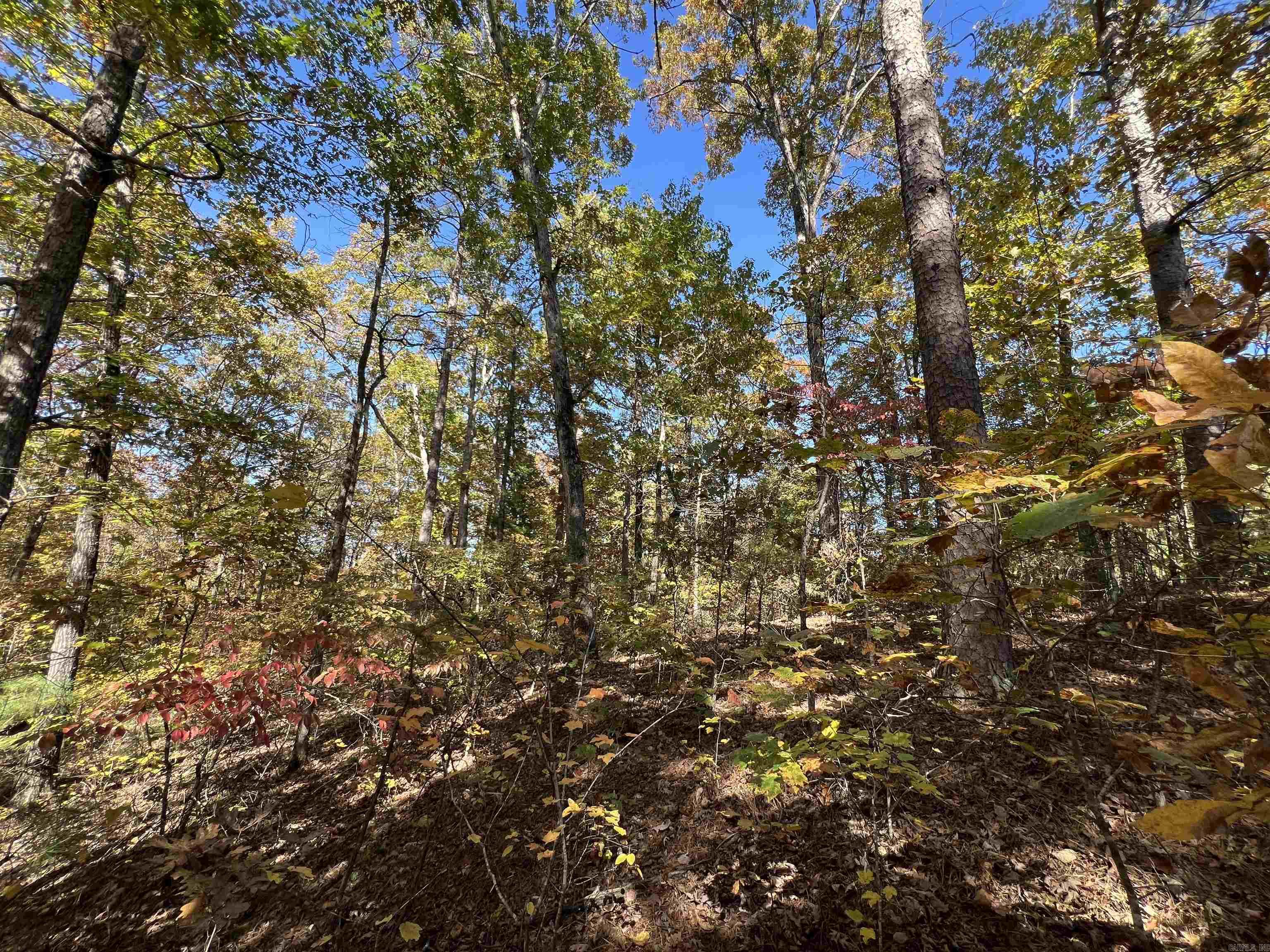Lot 60R Holley Mountain Airpark  Clinton, AR