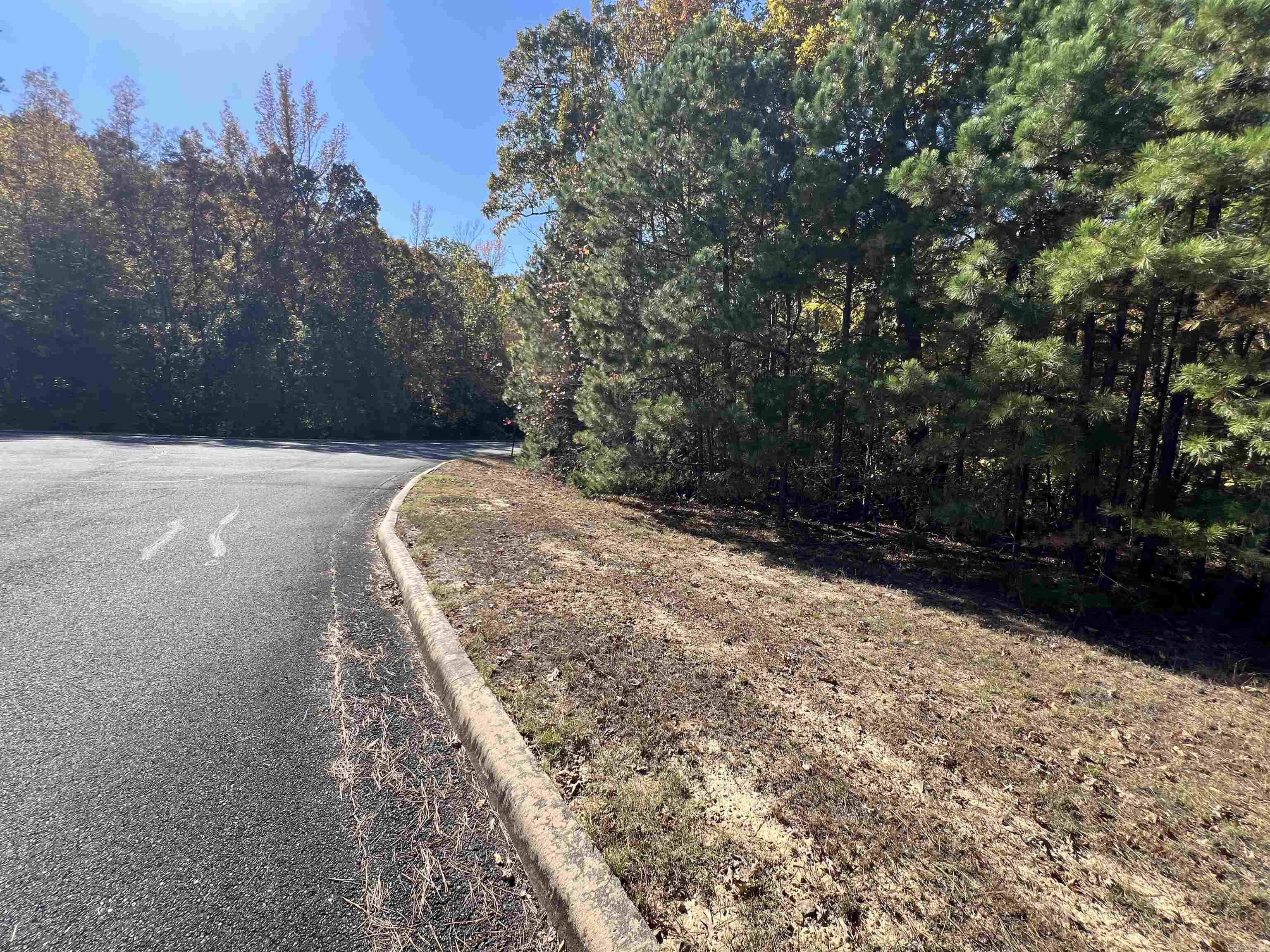 Lot 60R Holley Mountain Airpark  Clinton, AR