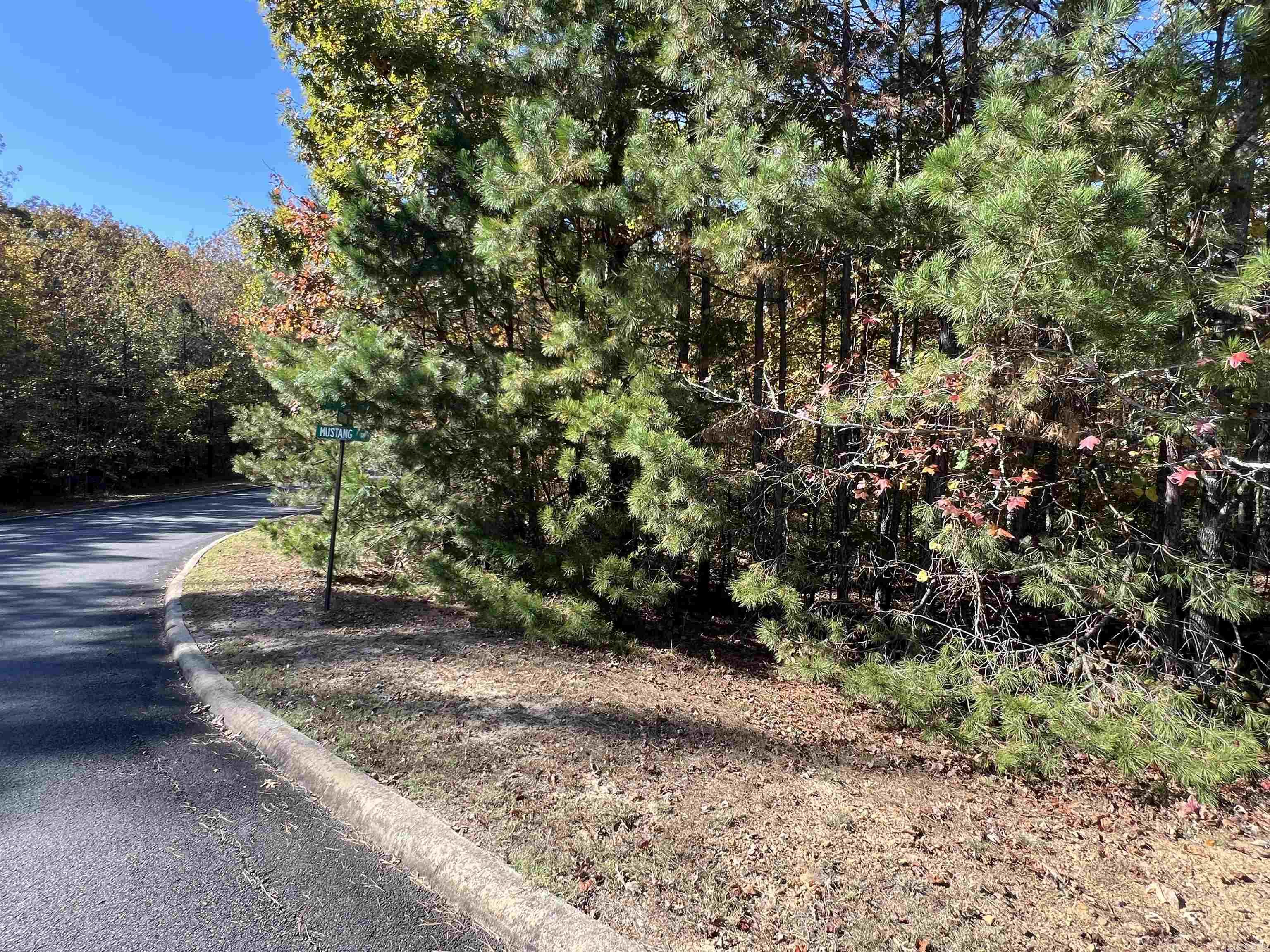 Lot 60R Holley Mountain Airpark  Clinton, AR