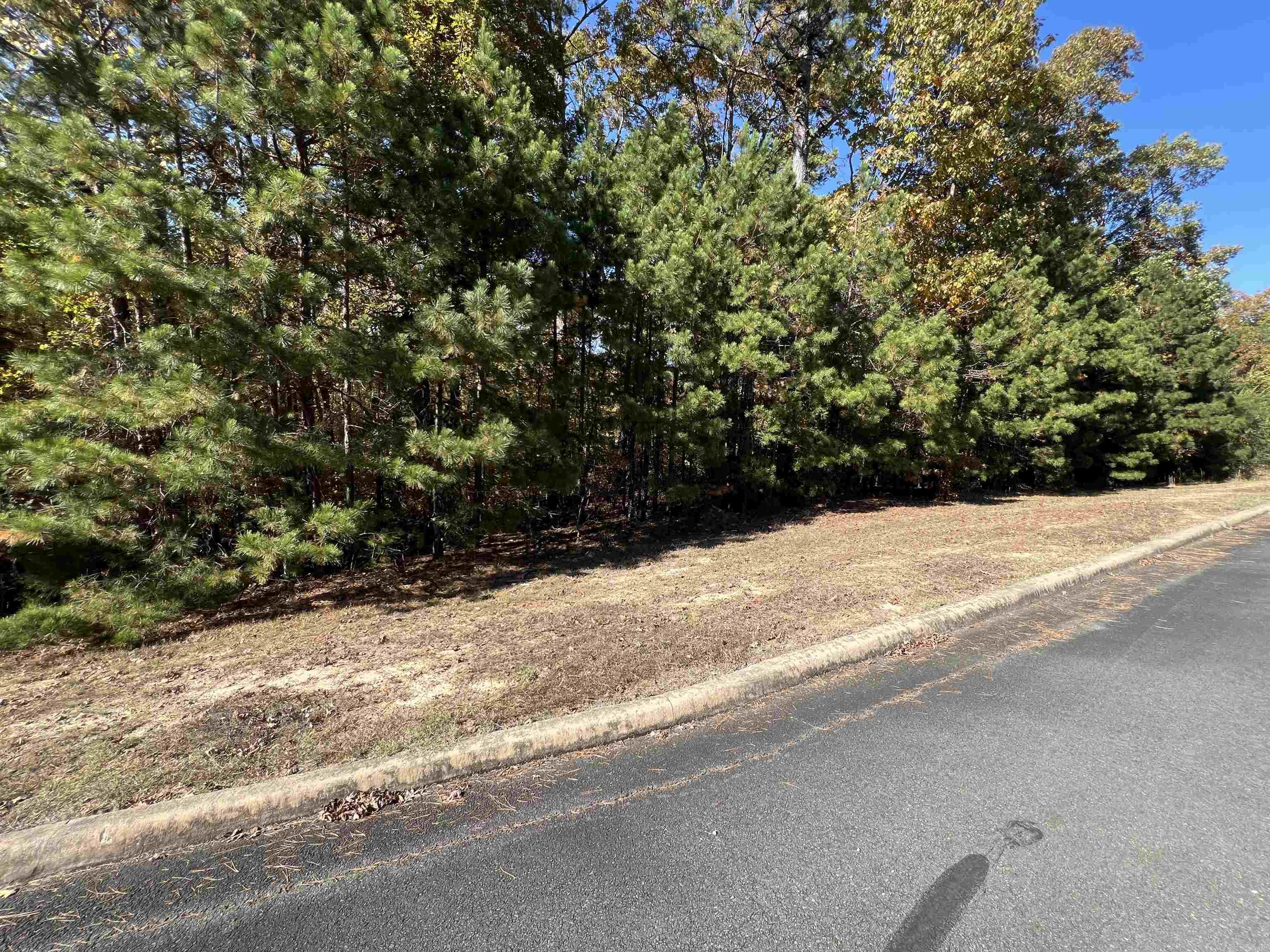 Lot 60R Holley Mountain Airpark  Clinton, AR