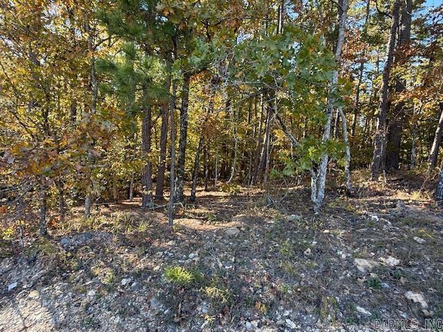 00 DeSoto  Hot Springs Village, AR